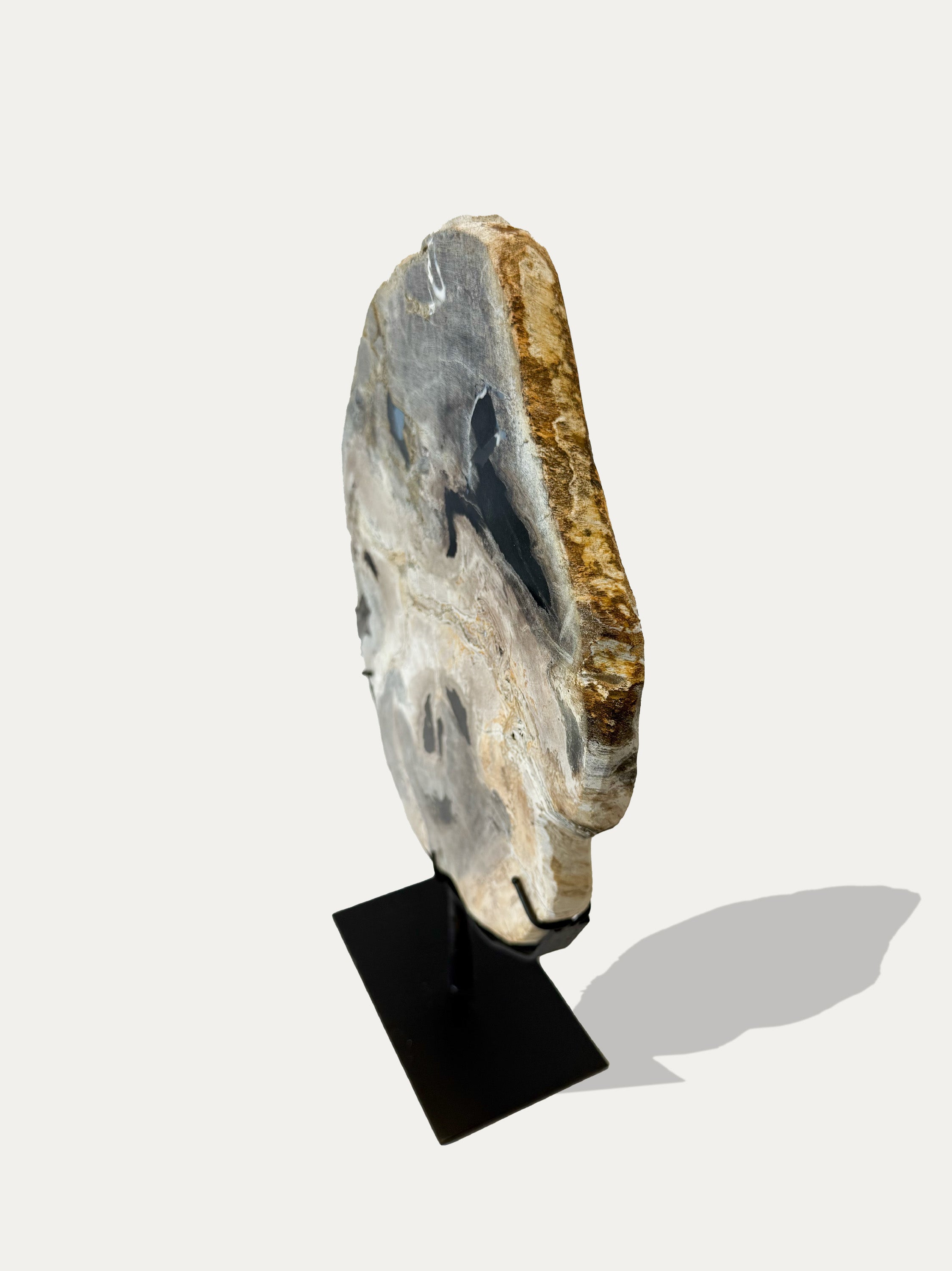 Scultura e Vassoio in Legno Pietrificato