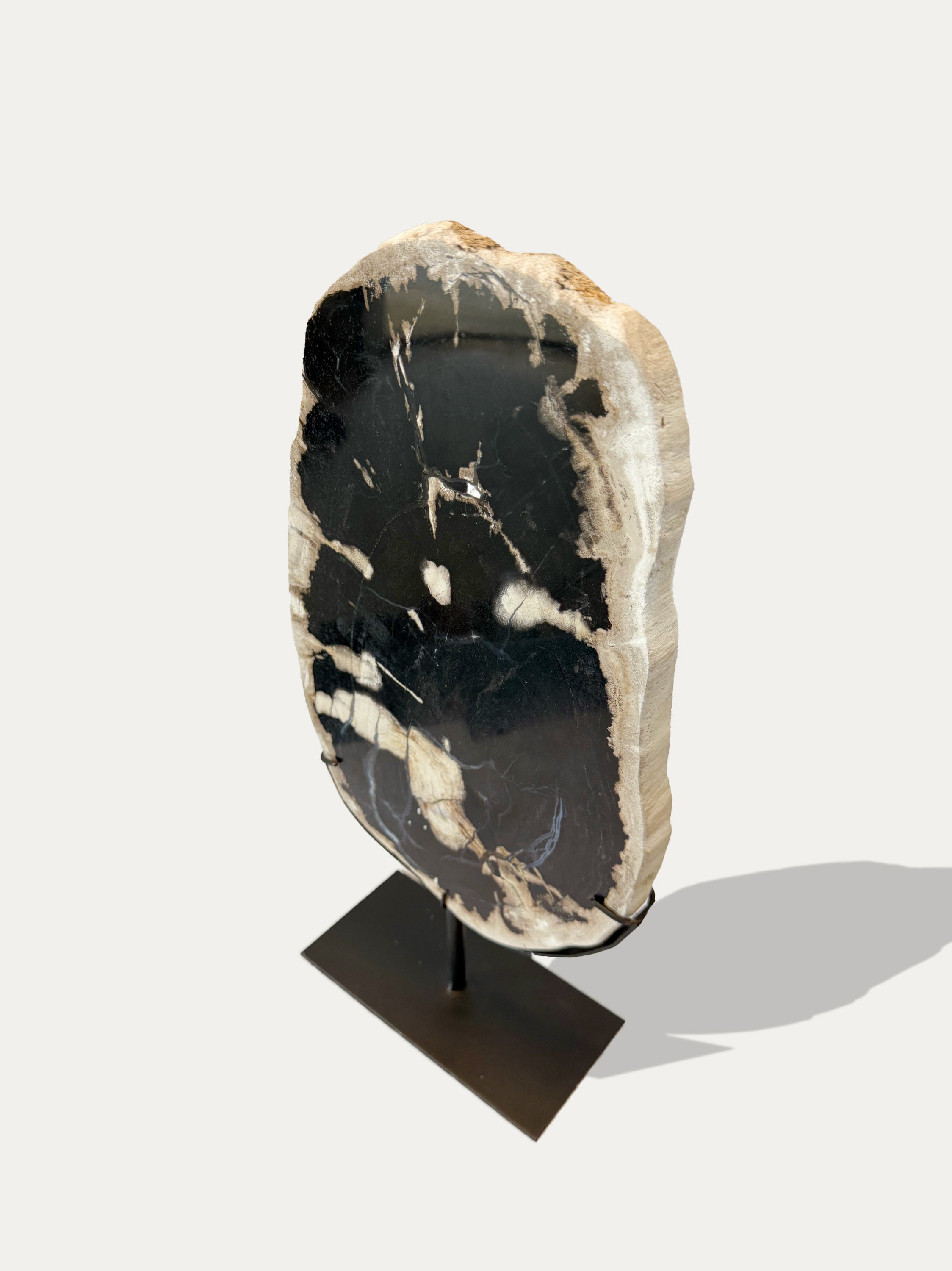 Versteinerte Holzskulptur und Tablett