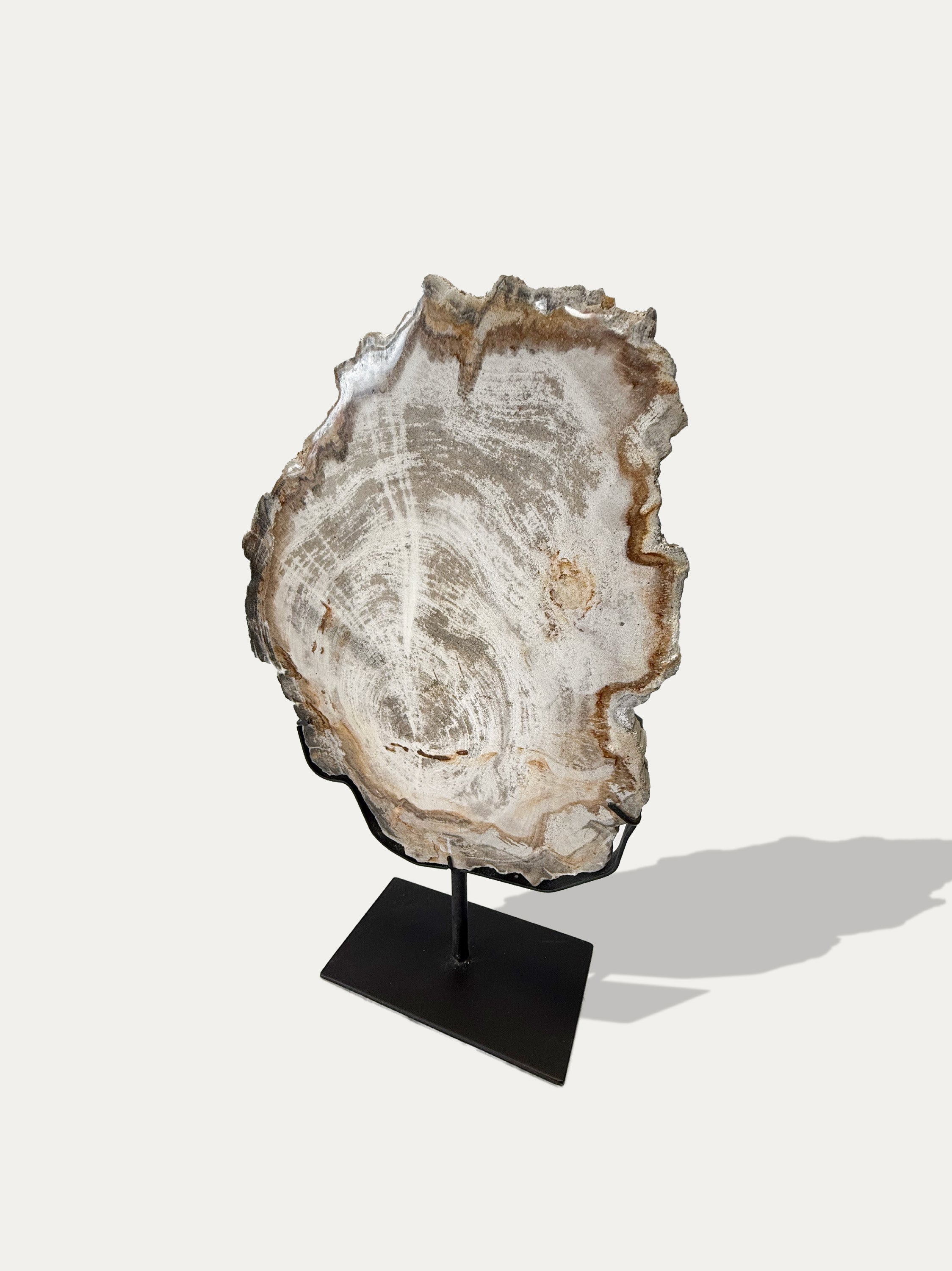 petrified-wood-tray-java-italy-kirschon