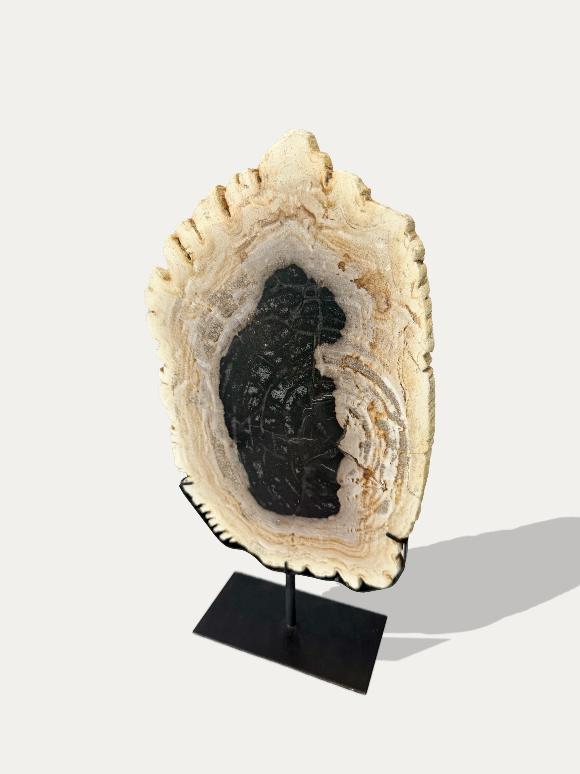 Versteinerte Holzskulptur und Tablett