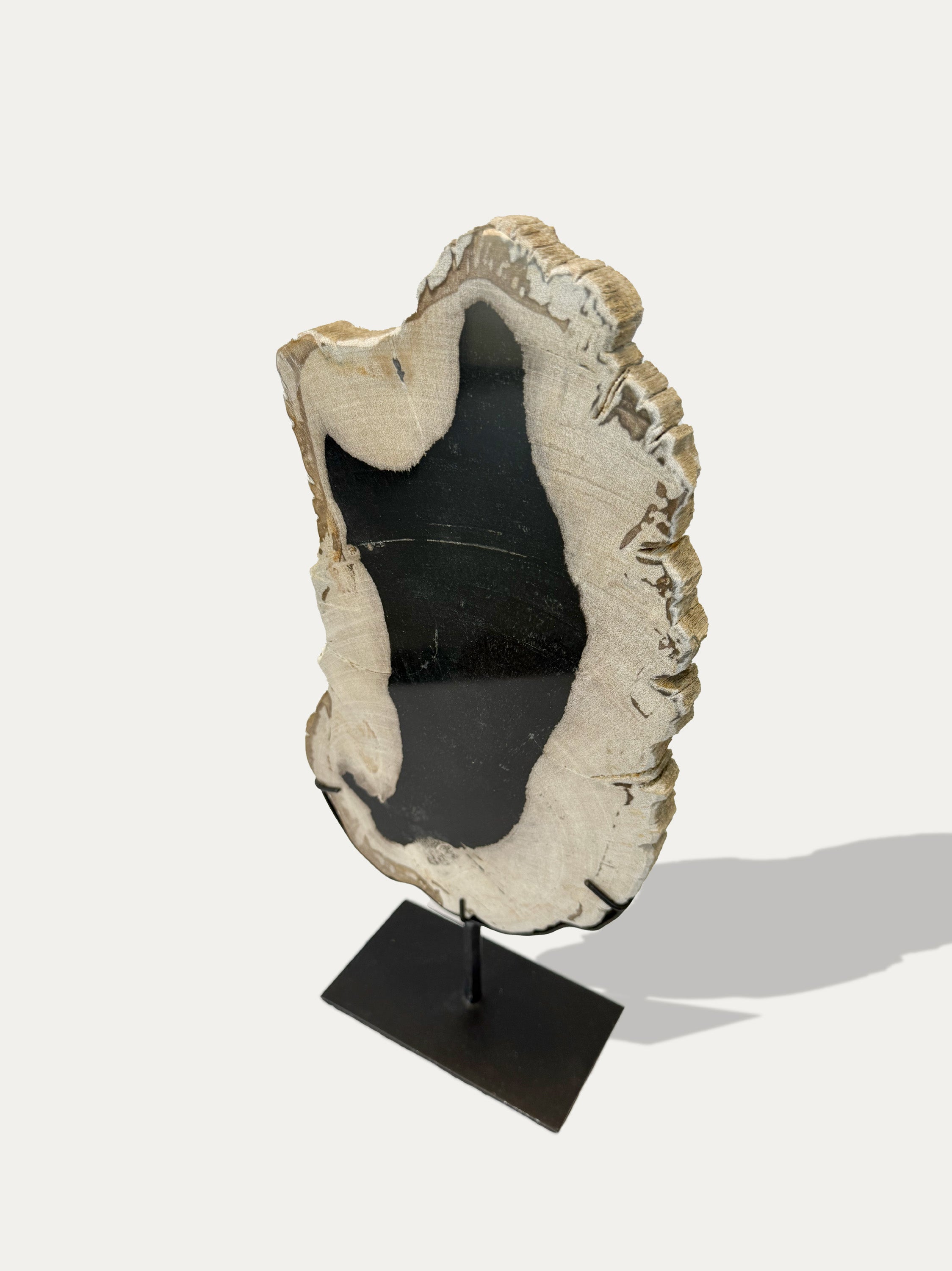 Scultura e Vassoio in Legno Pietrificato