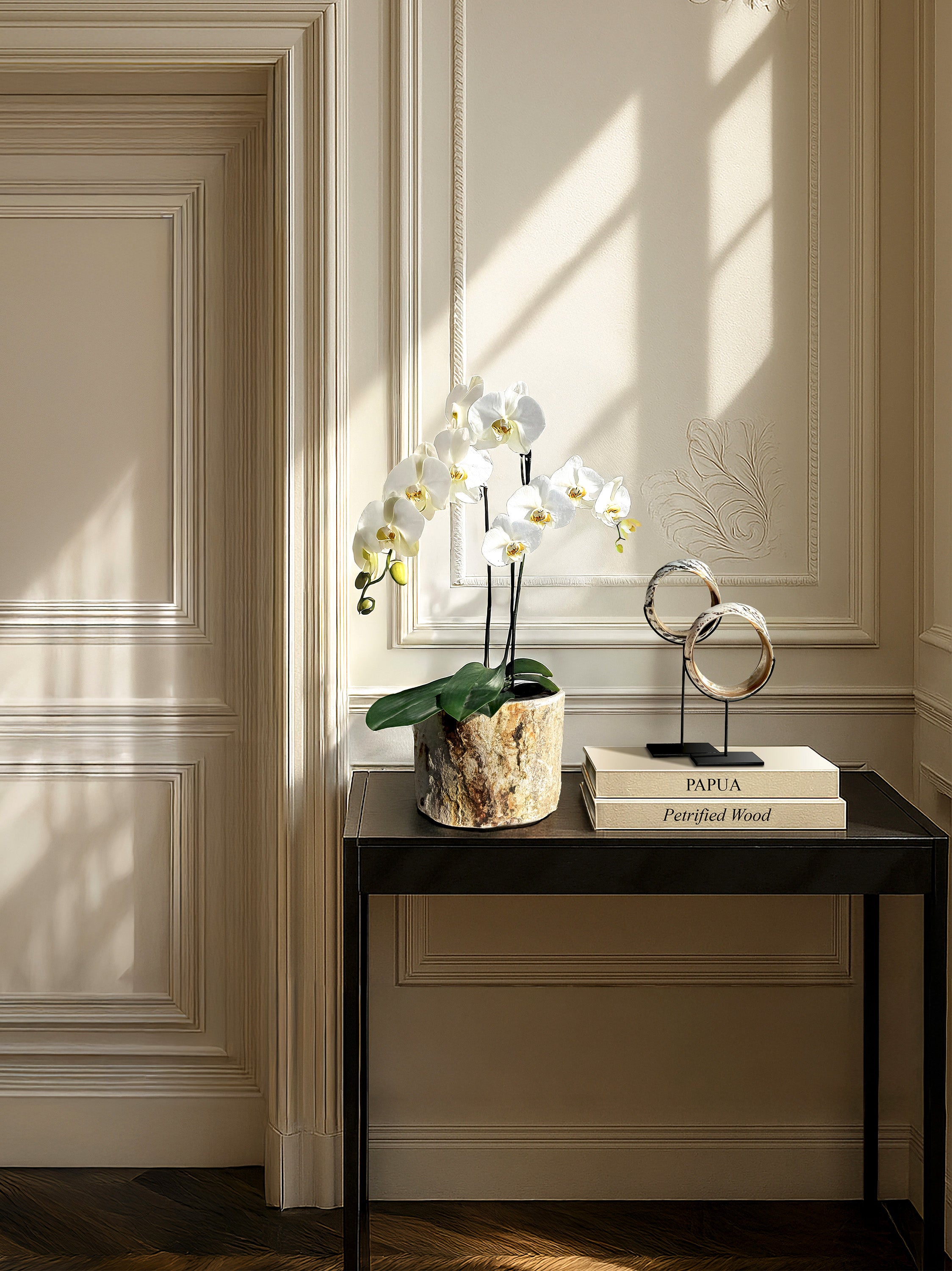 petrified-wood-vase-java-island-indi_onesia-kirschon-lake-como