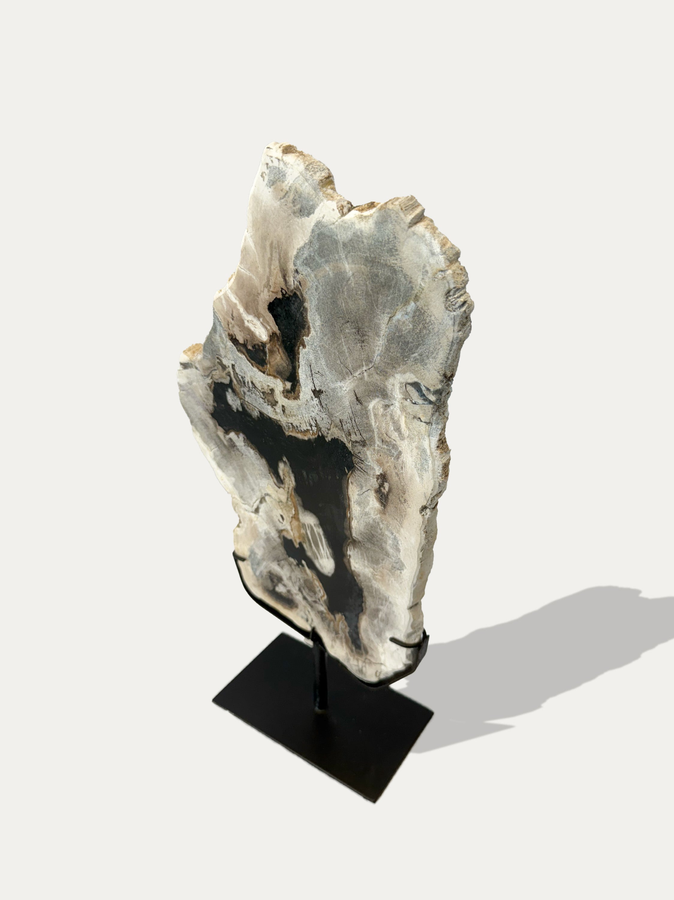 Scultura e Vassoio in Legno Pietrificato