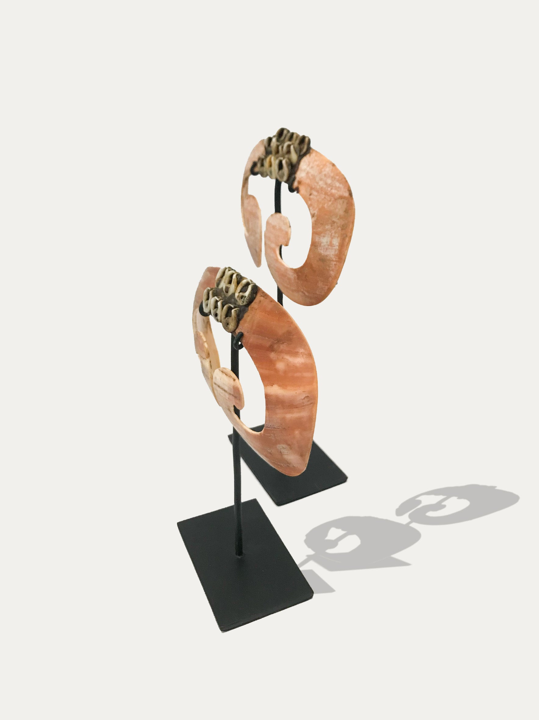 Septum tusks, tribal nose decorations from Papua