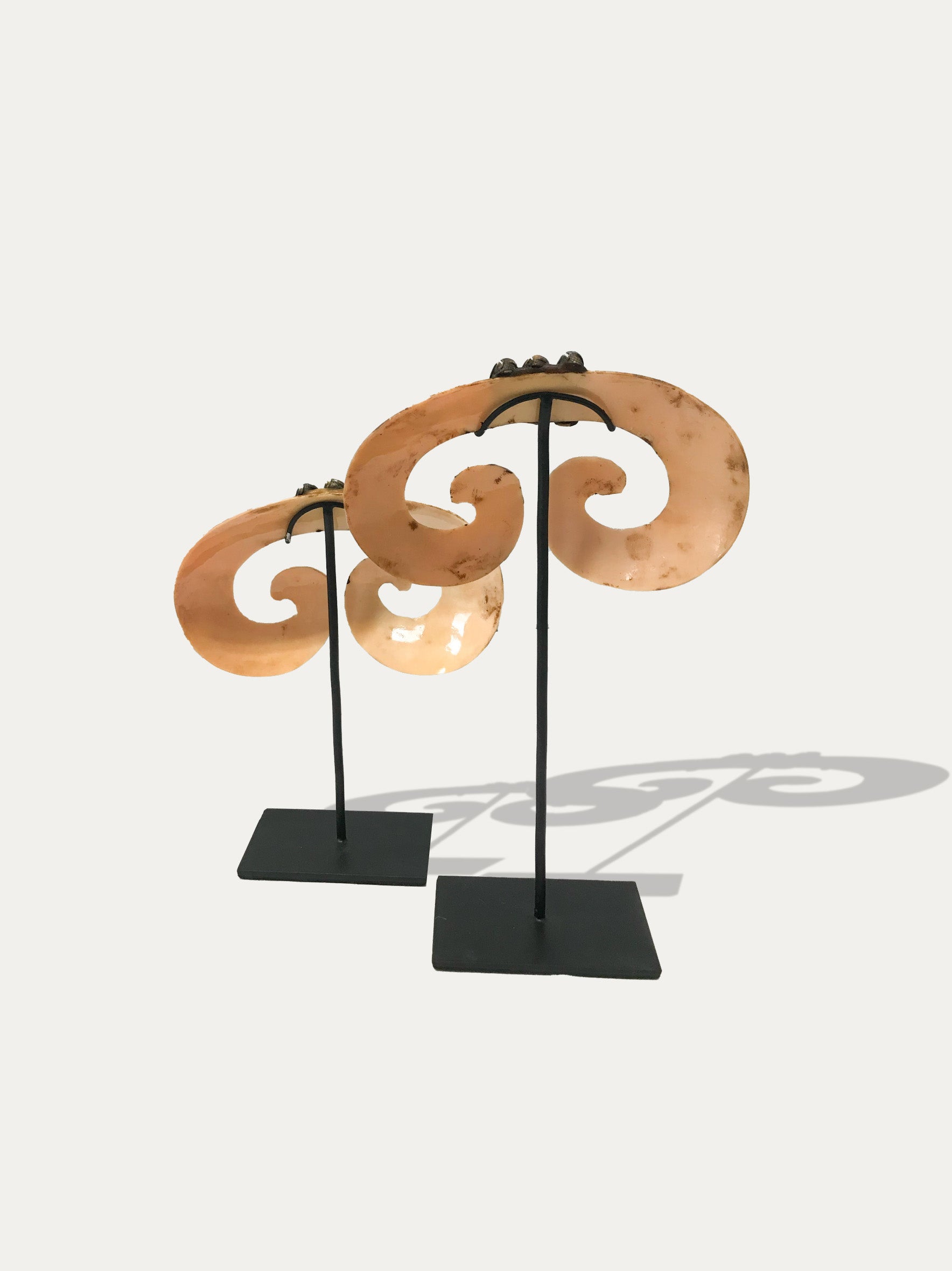 Satz von 2 Septumhauern, Stammesnasenschmuck aus Papua