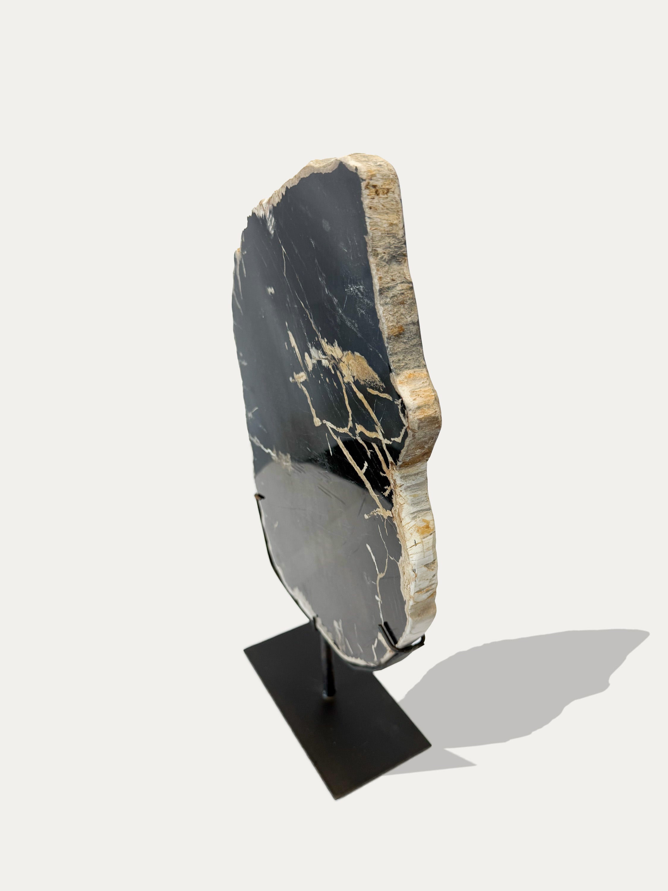 Escultura y bandeja de madera petrificada