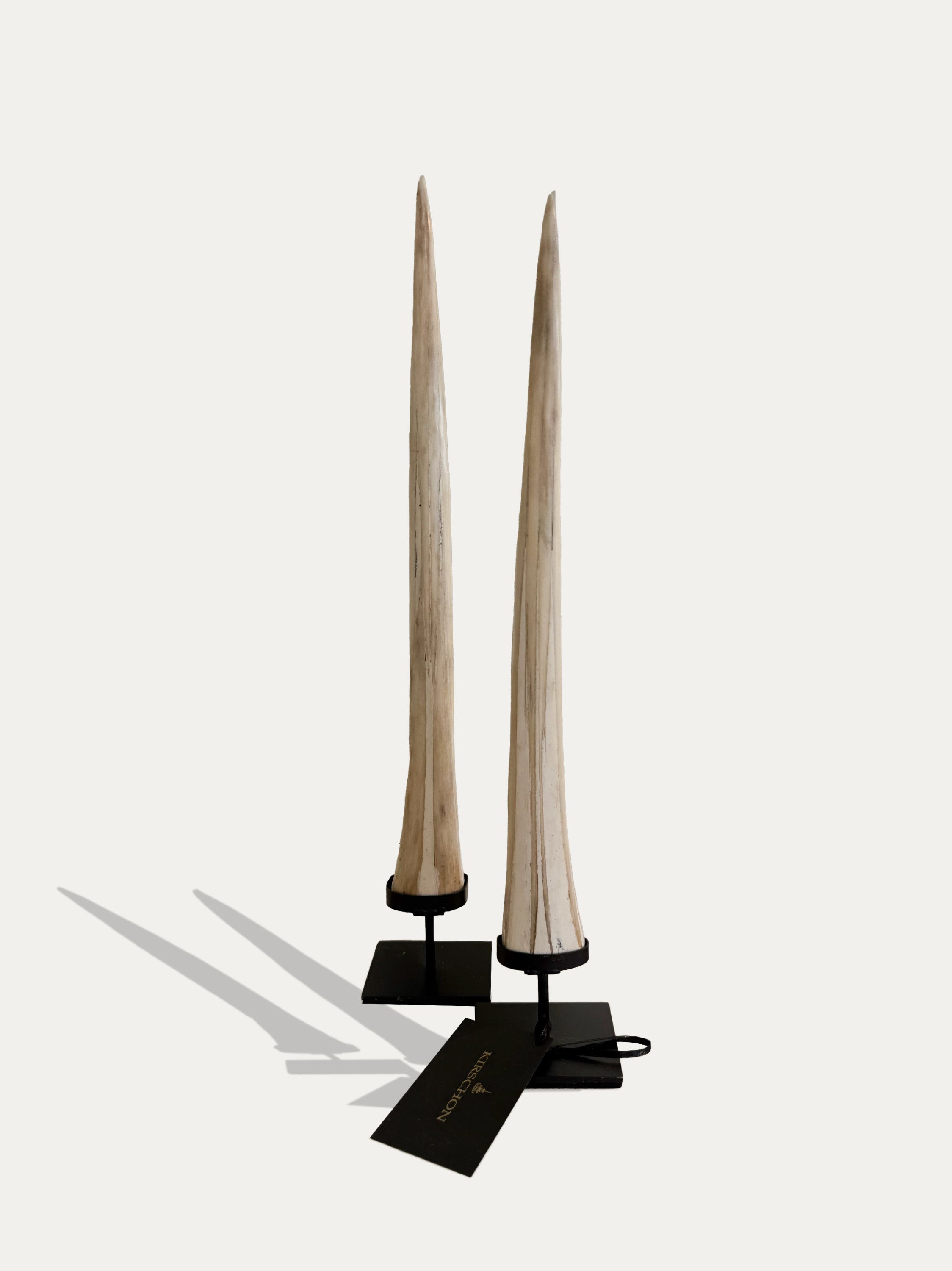 swordfish-rostrum-set-indonesia-2
