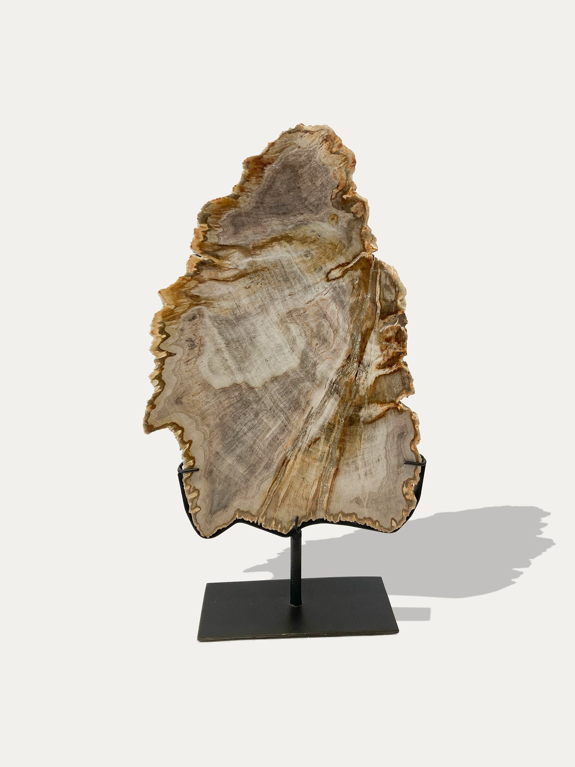 Petrified Wood Sculpture and Tray