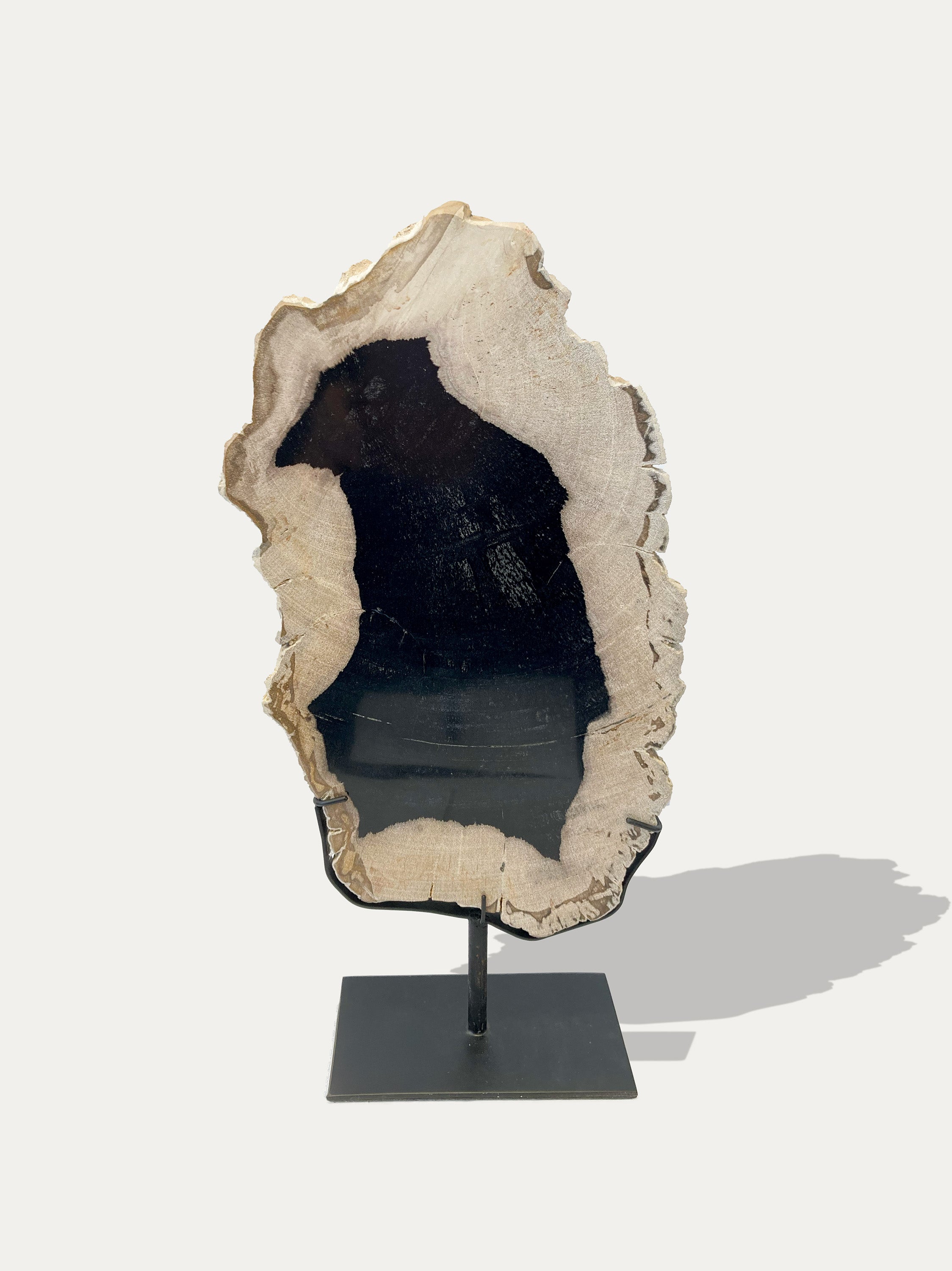 Petrified Wood Sculpture and Tray