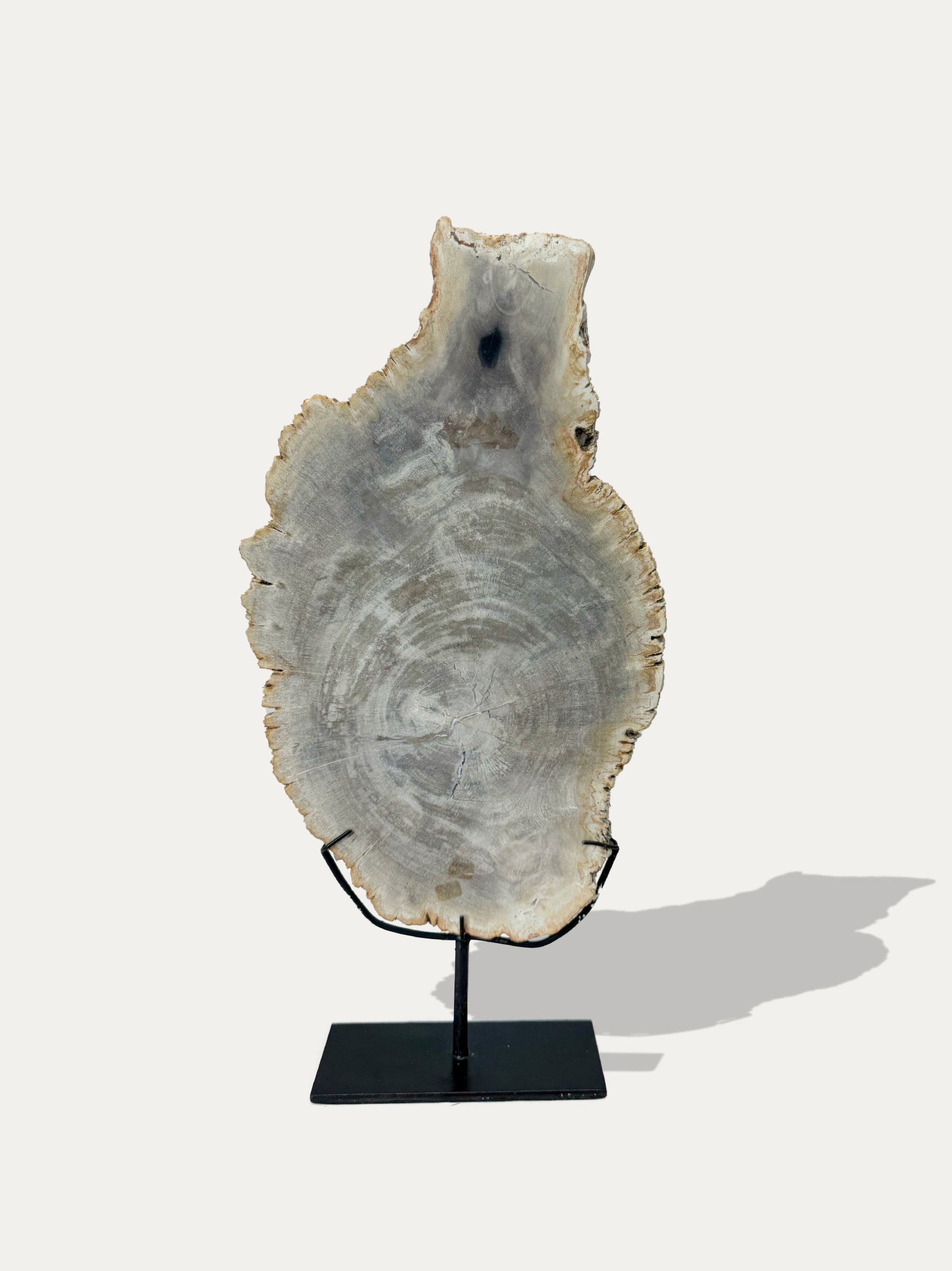 petrified-wood-tray-sculpture-kirschon-lake-como.jpg