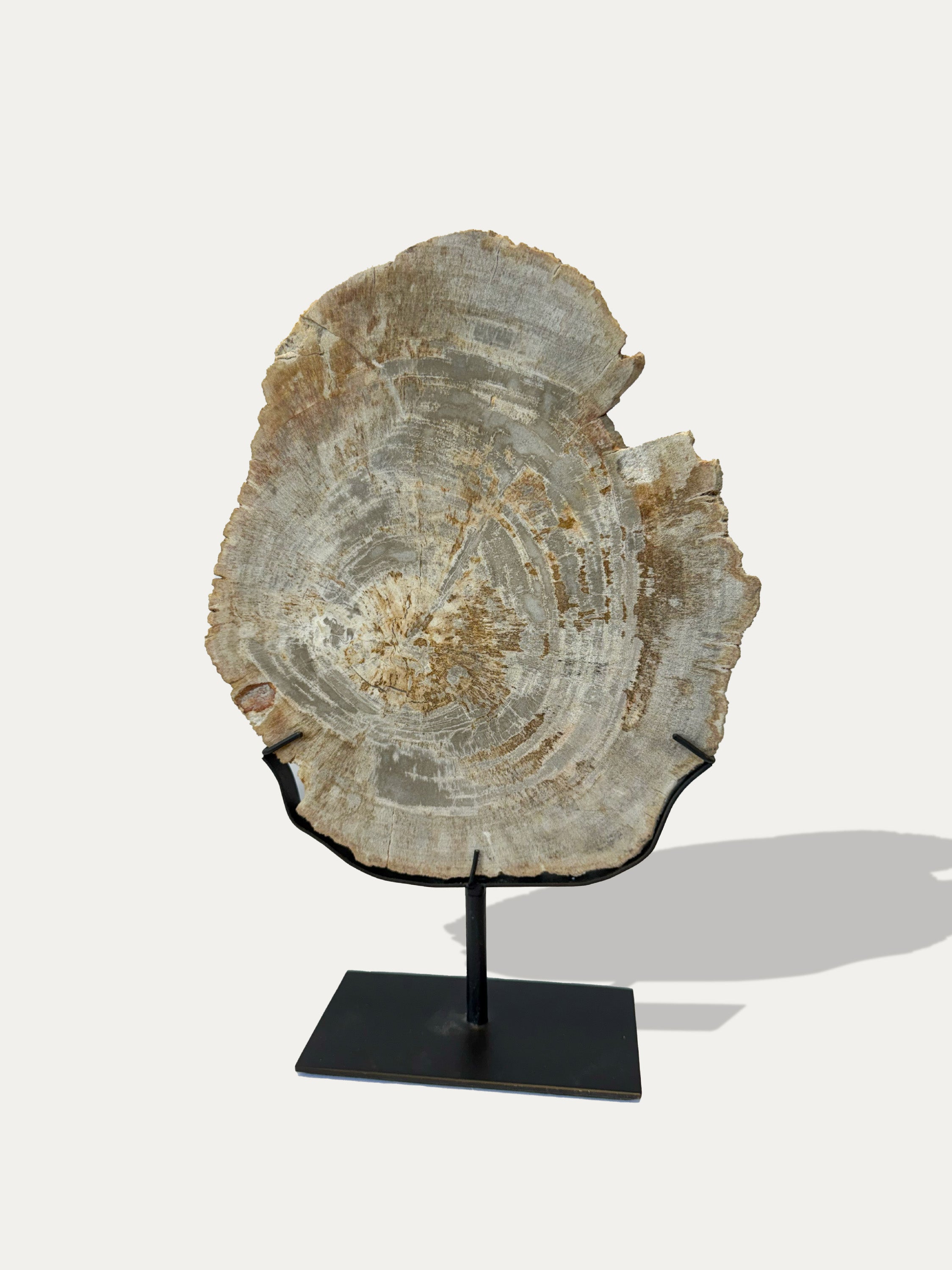 kirschon-elegant-petrified-wood-accessory-como.jpg