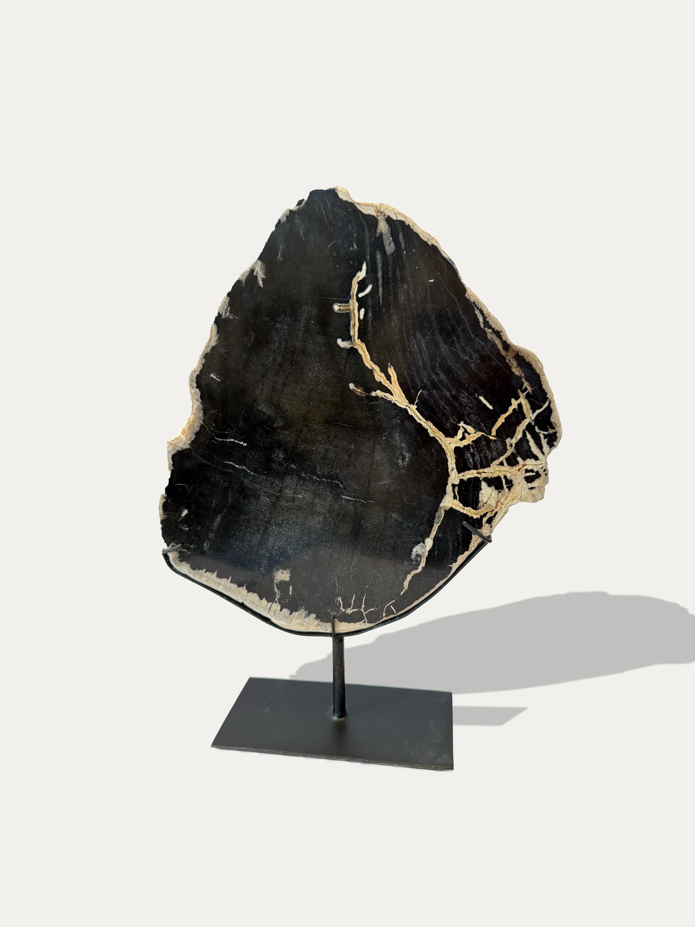 Escultura y bandeja de madera petrificada