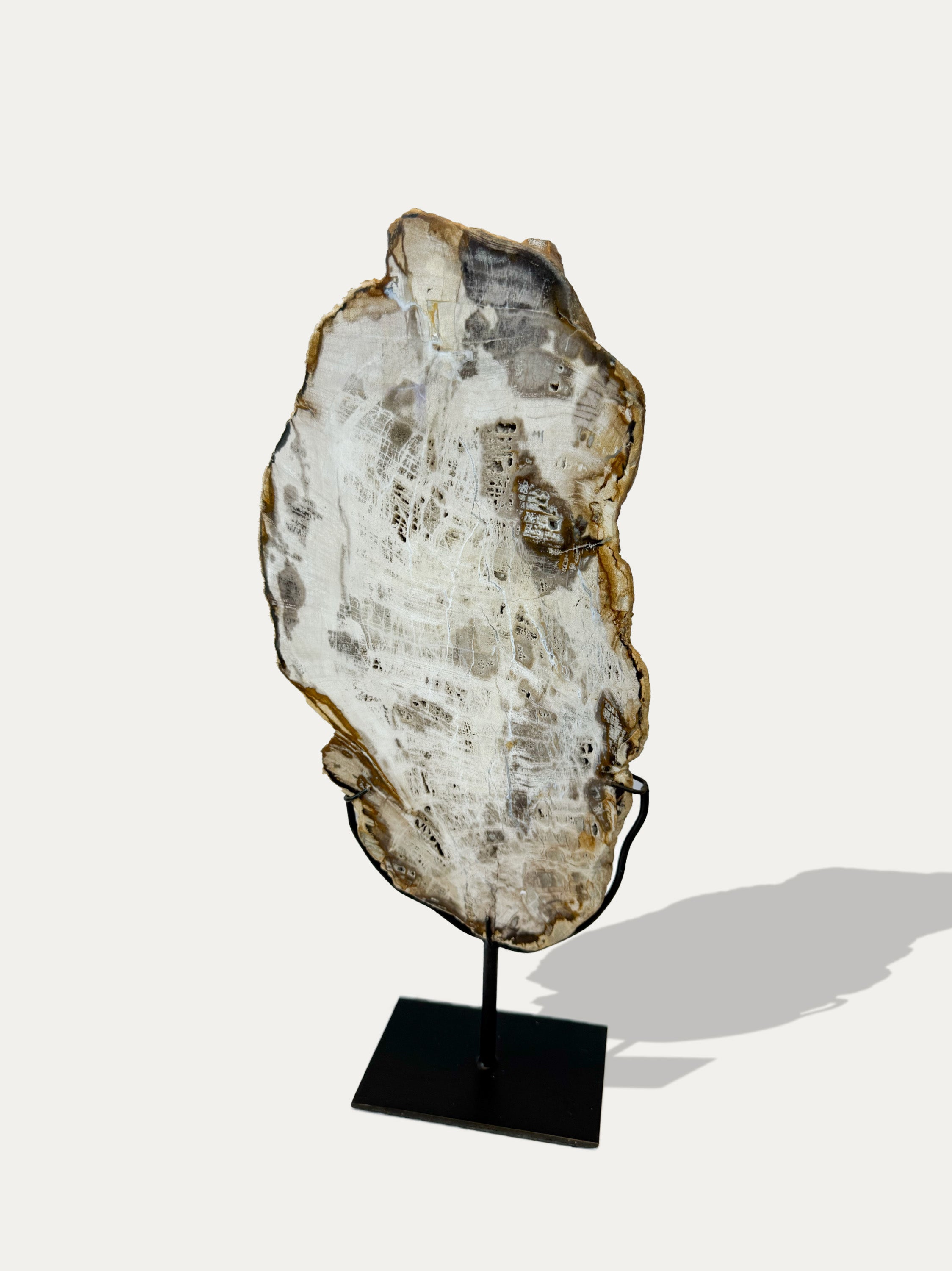 kirschon-natural-petrified-wood-home-accessory.jpg