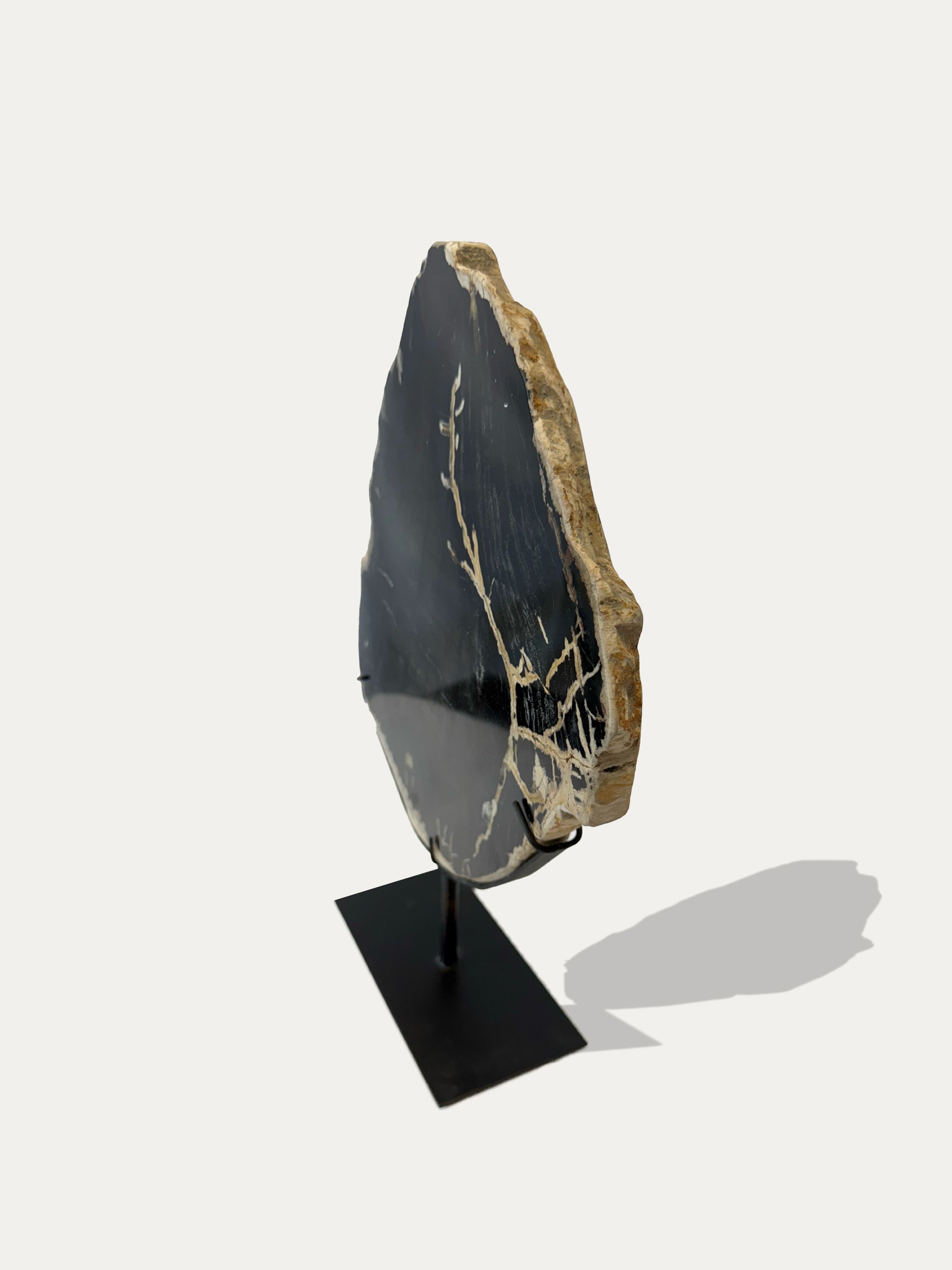 Escultura y bandeja de madera petrificada