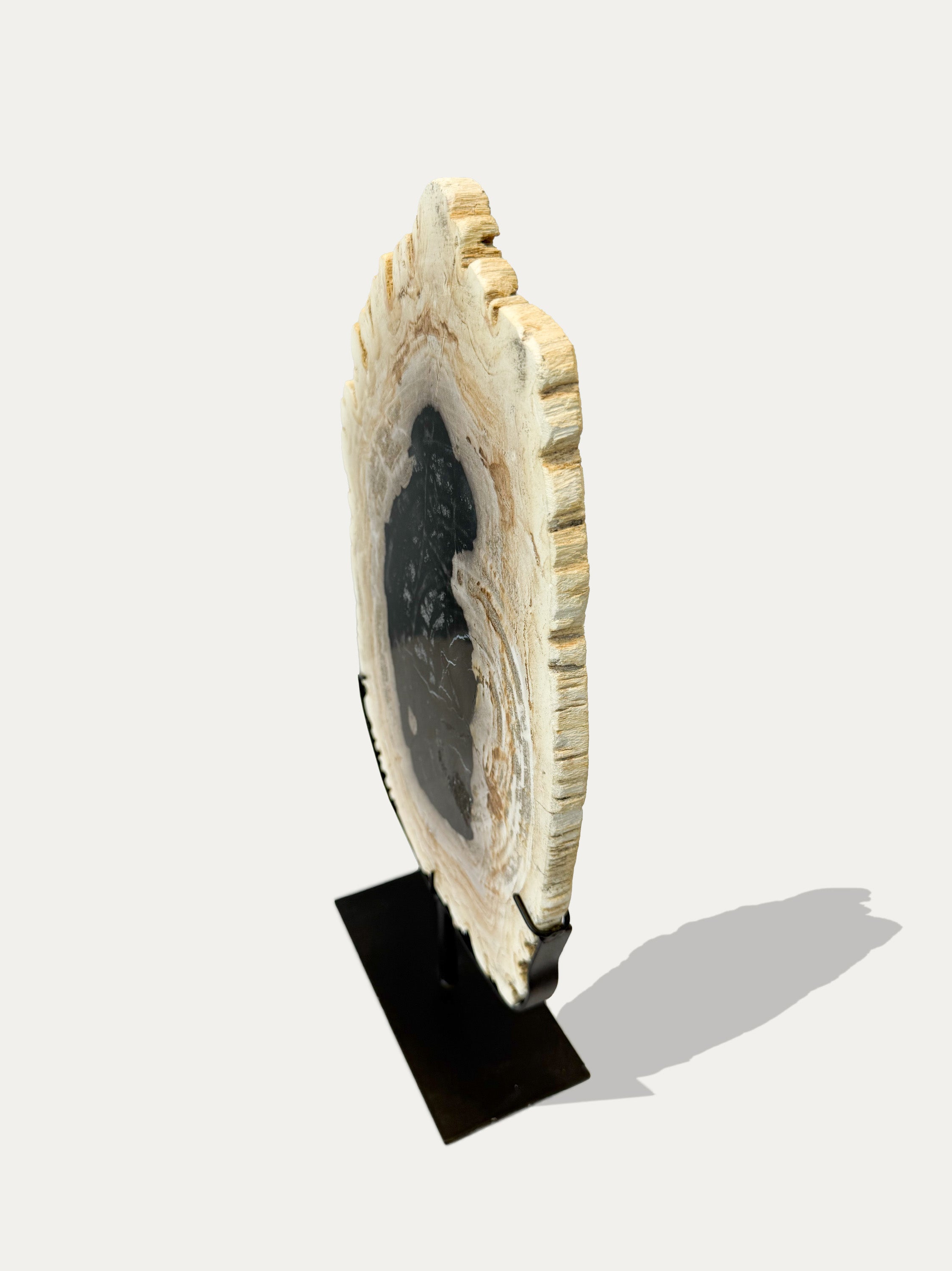 exclusive-fossil-wood-home-tray-decor-italy.jpg