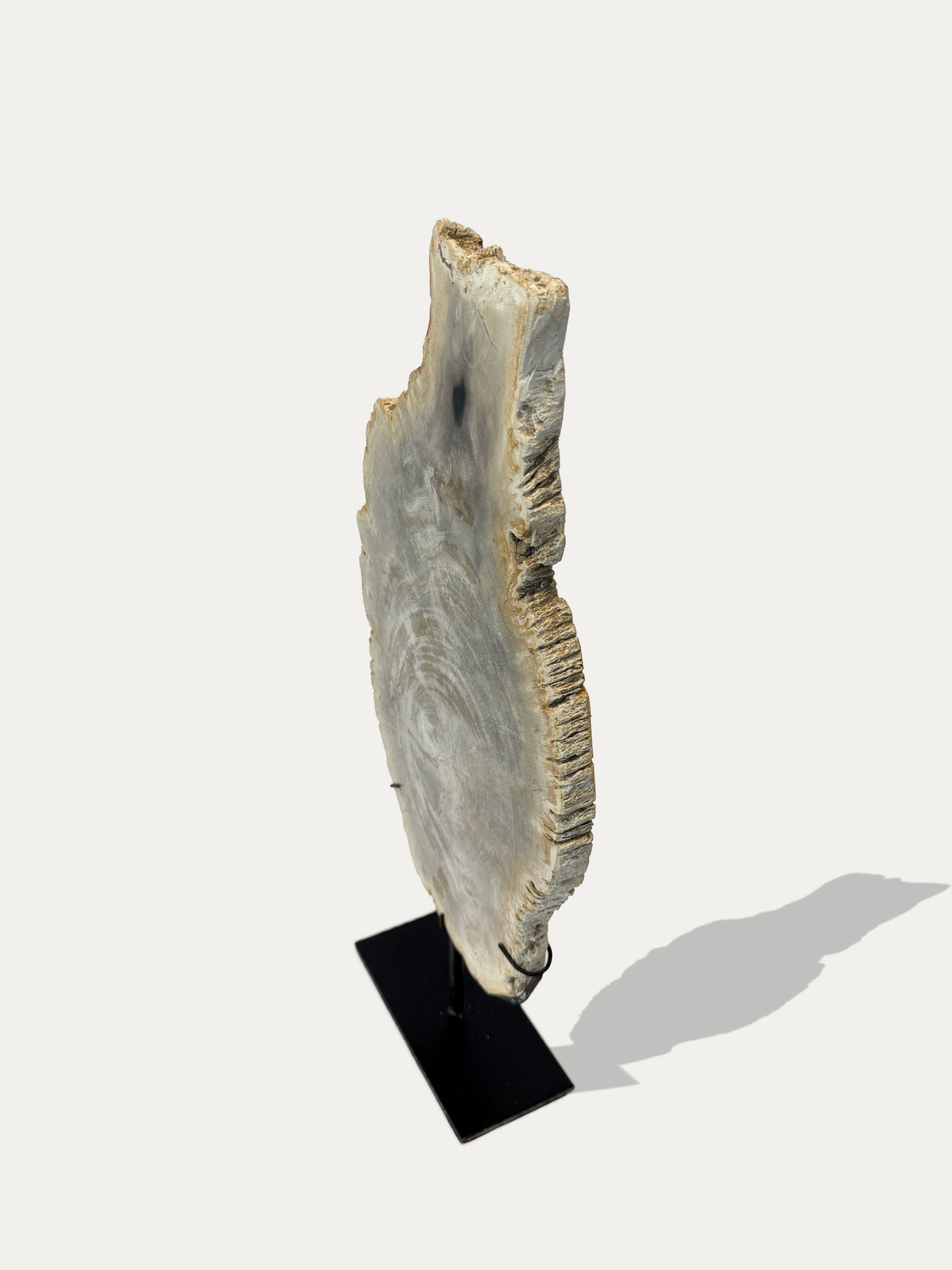 luxury-petrified-wood-accessory-elegant-home-decor.jpg