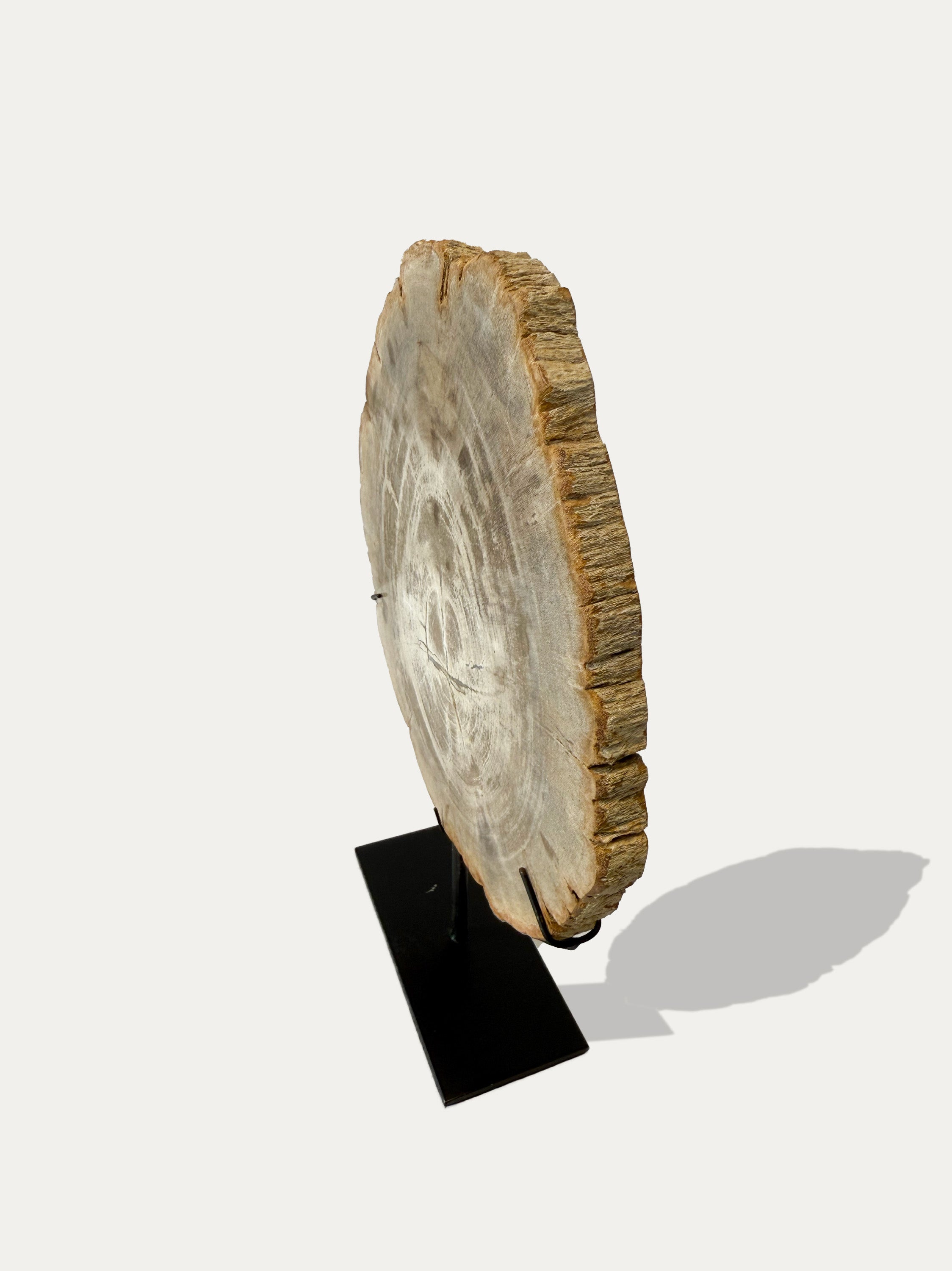 Scultura e Vassoio in Legno Pietrificato