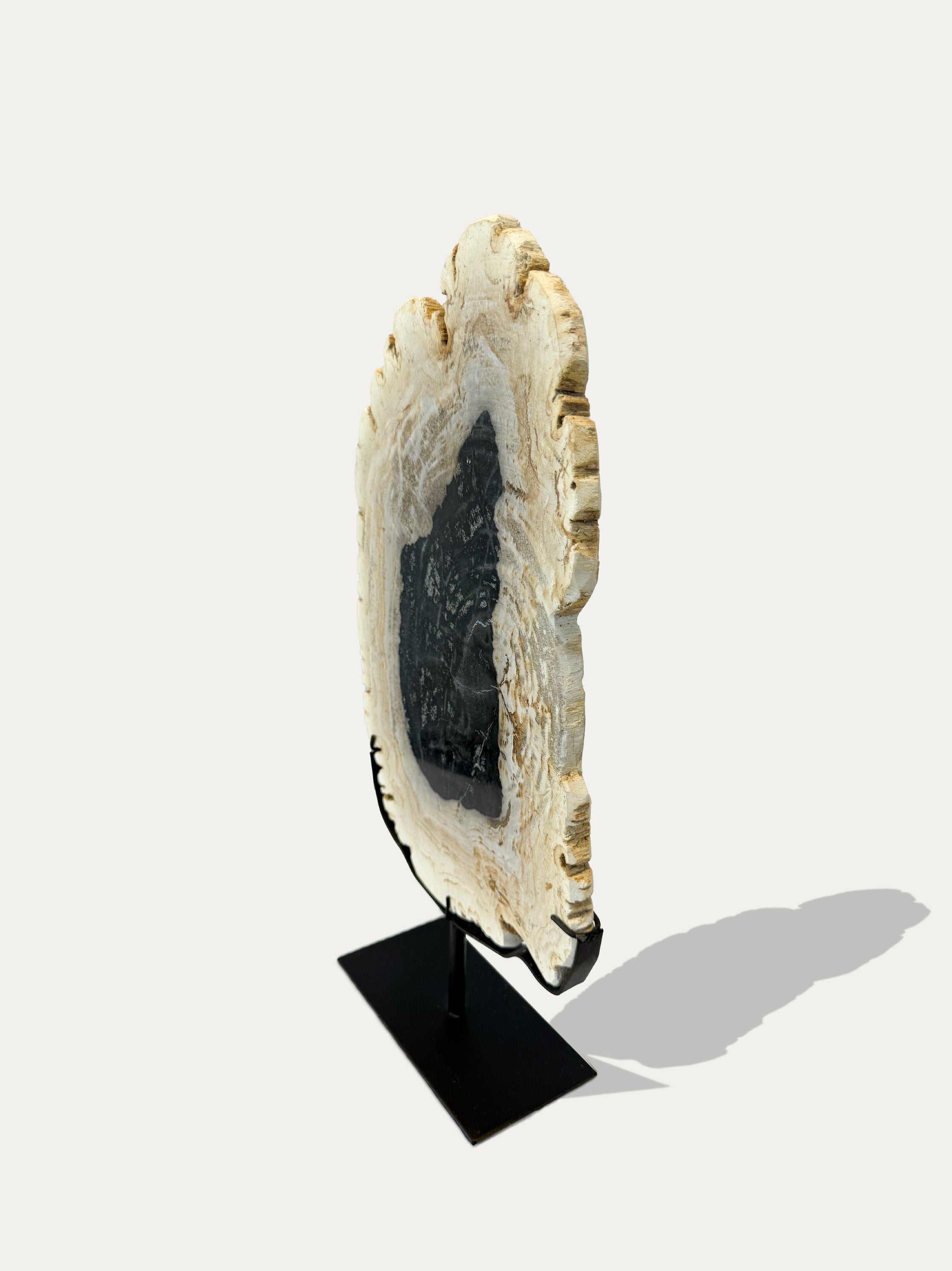 Scultura e Vassoio in Legno Pietrificato