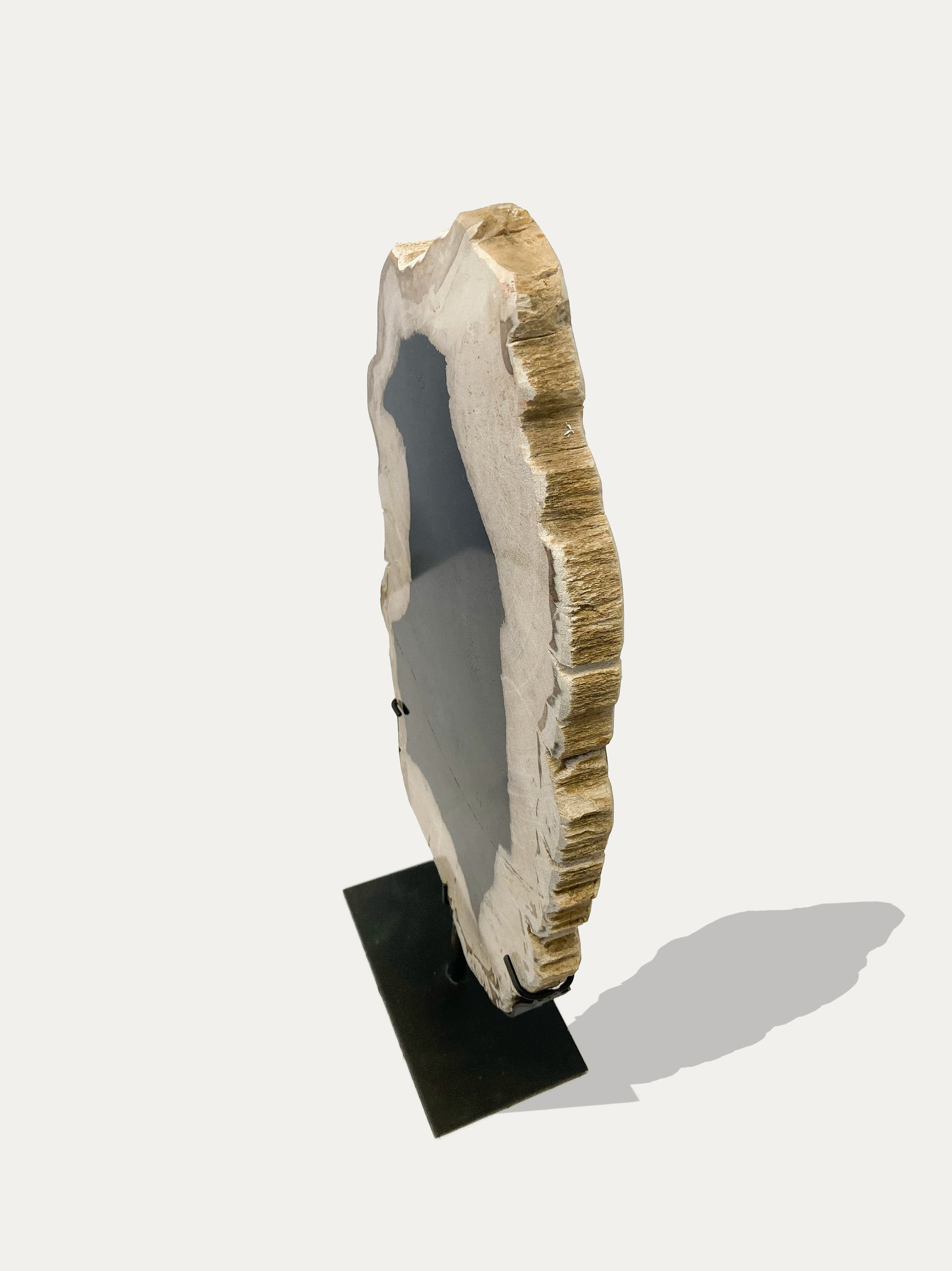 Petrified Wood Sculpture and Tray
