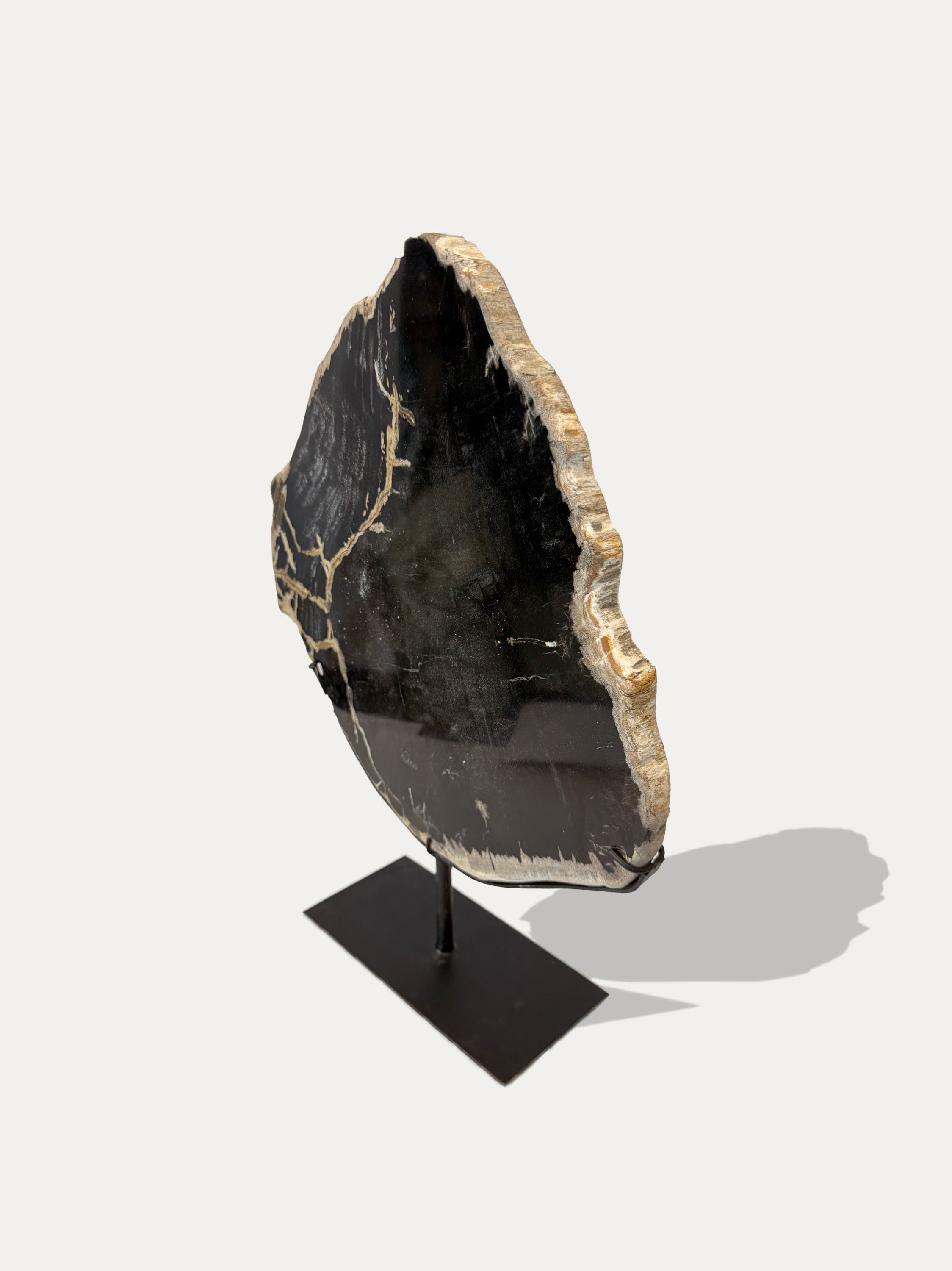 Petrified Wood Sculpture and Tray