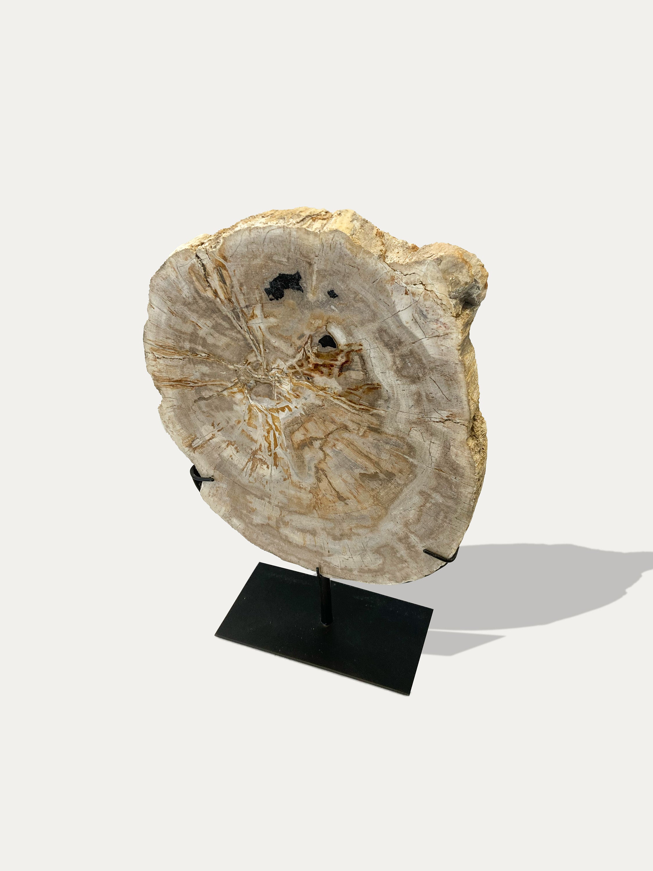 Petrified Wood Sculpture and Tray