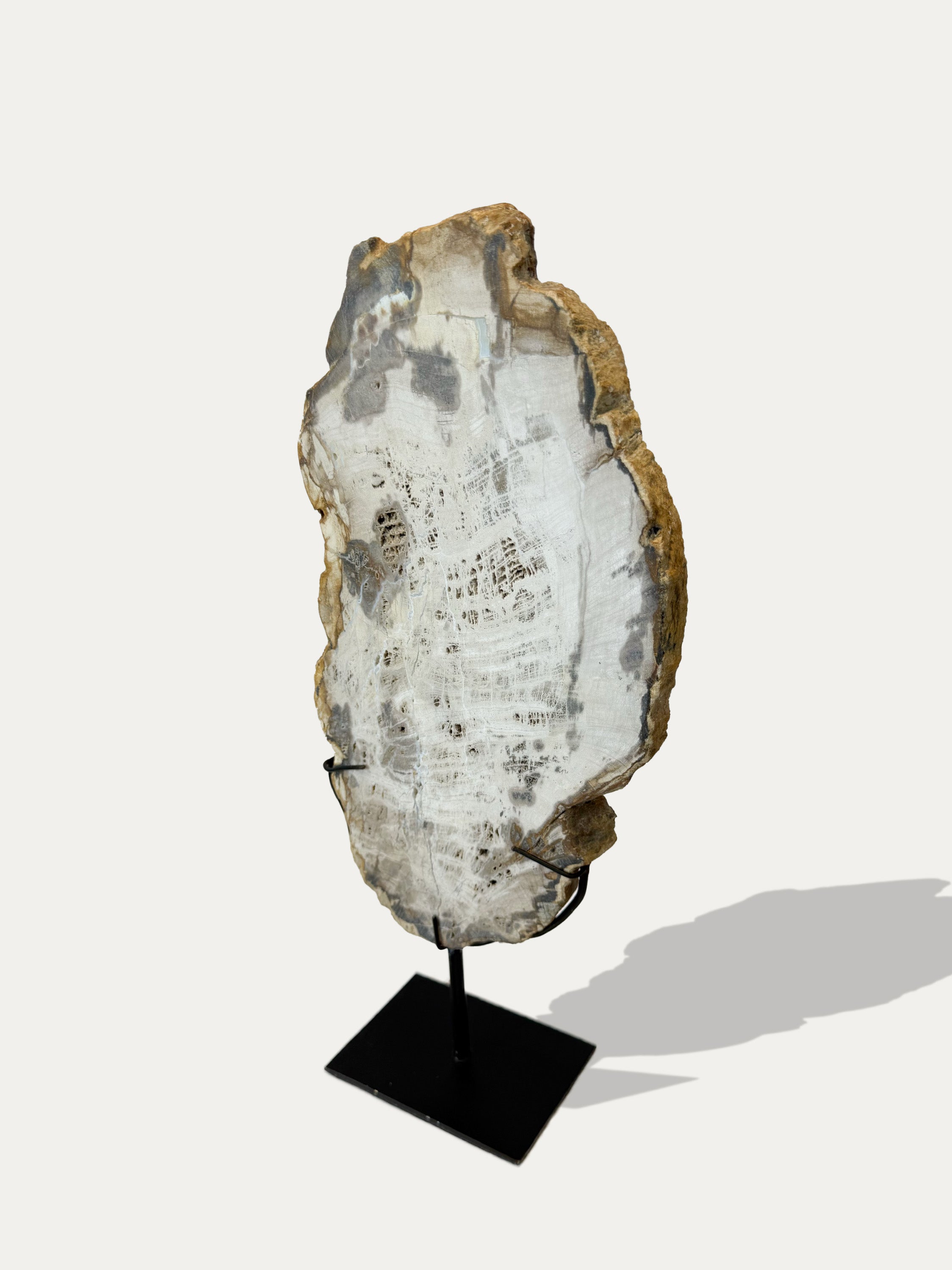 artisan-petrified-wood-tray-kirschon-lake-como.jpg