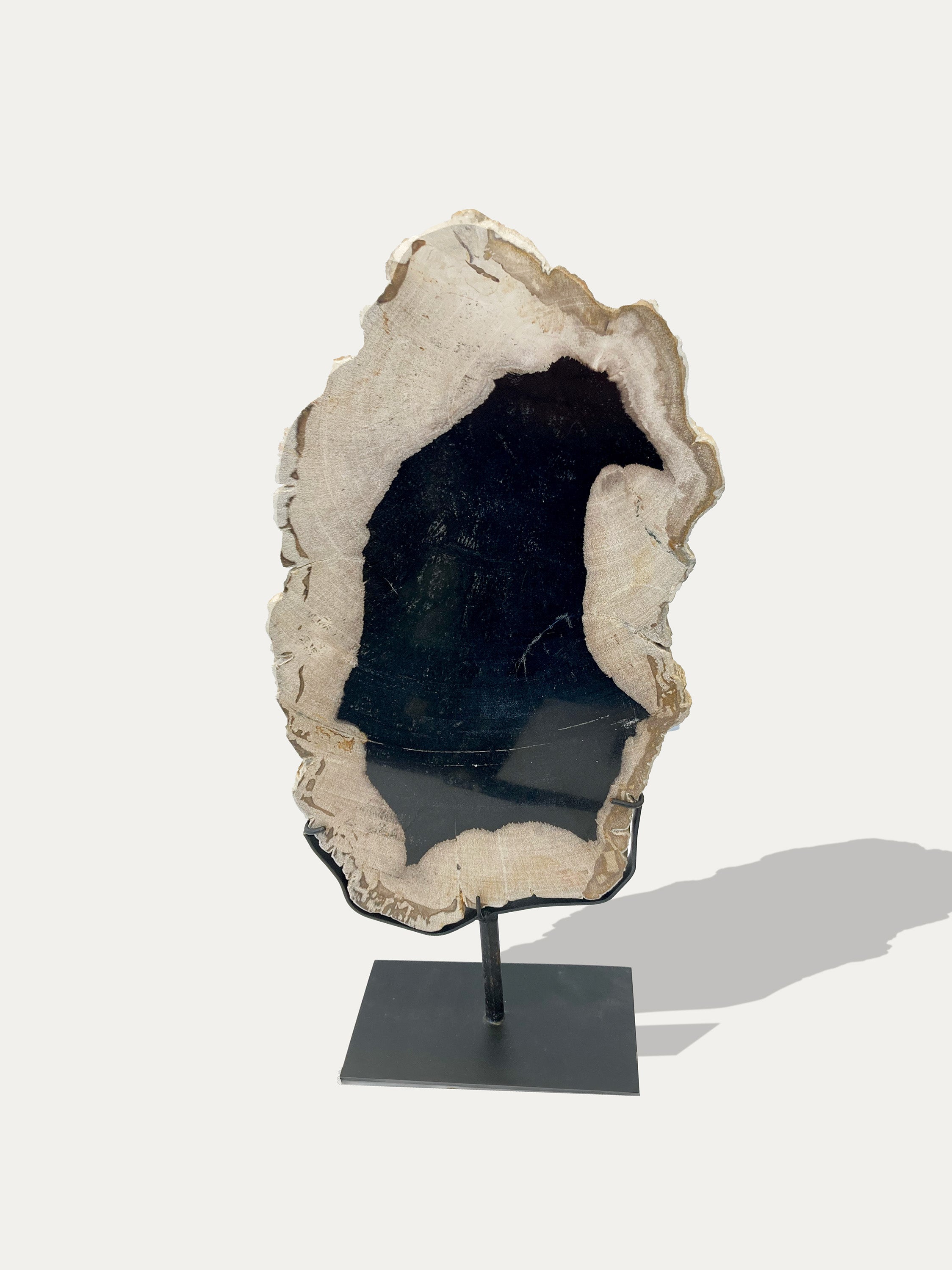 Petrified Wood Sculpture and Tray