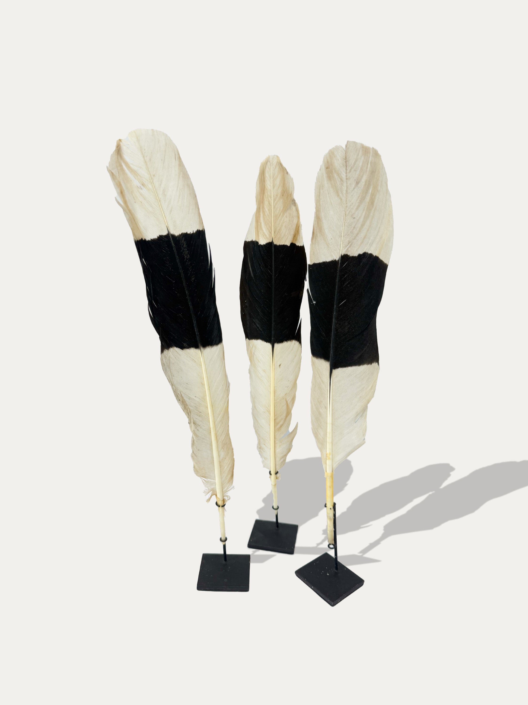 tribal-waterbird-feathers-on-stands-indonesian-home-decor