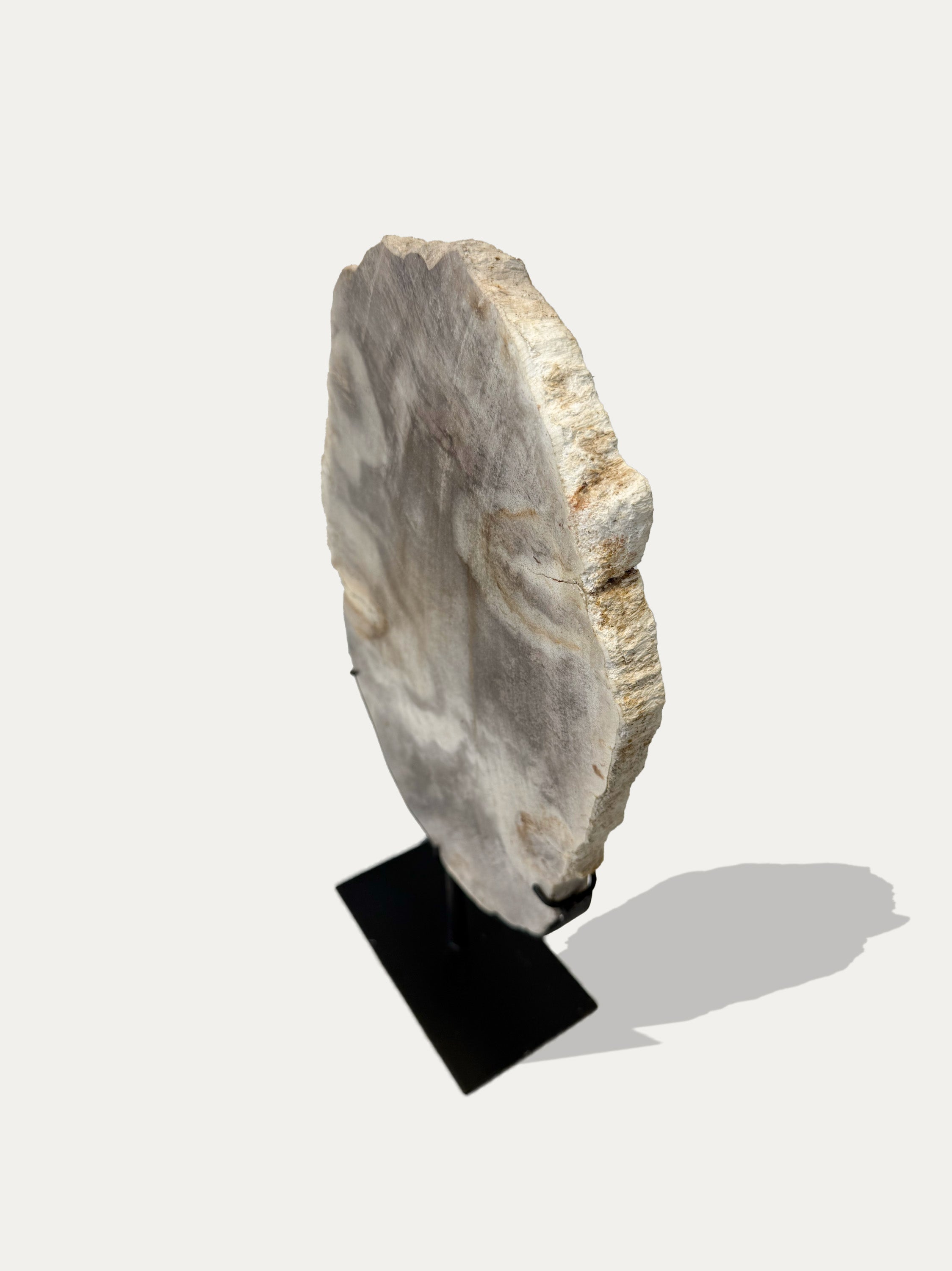 Sculpture et plateau en bois pétrifié