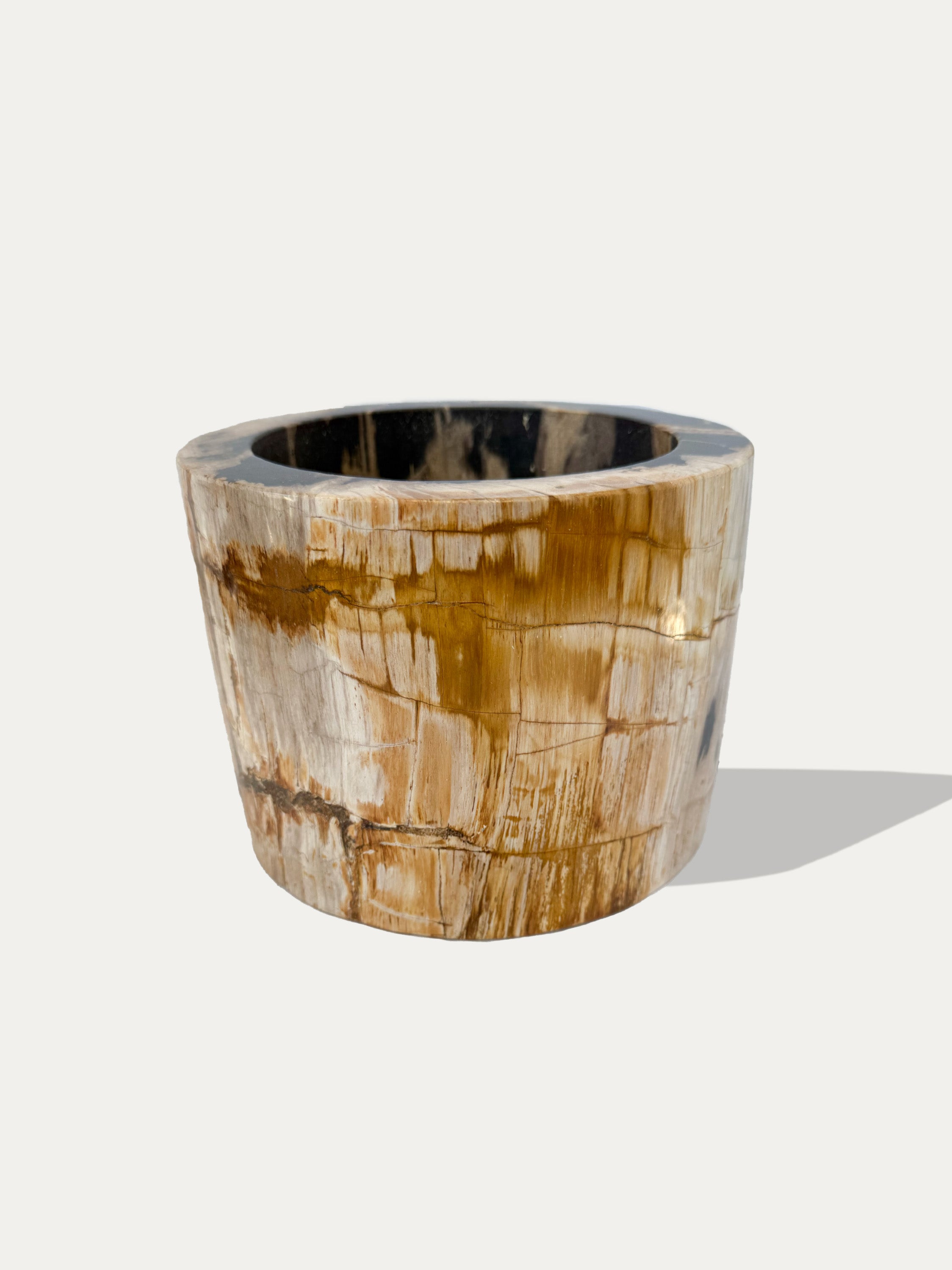 handcrafted-petrified-wood-vase-italy-kirschon