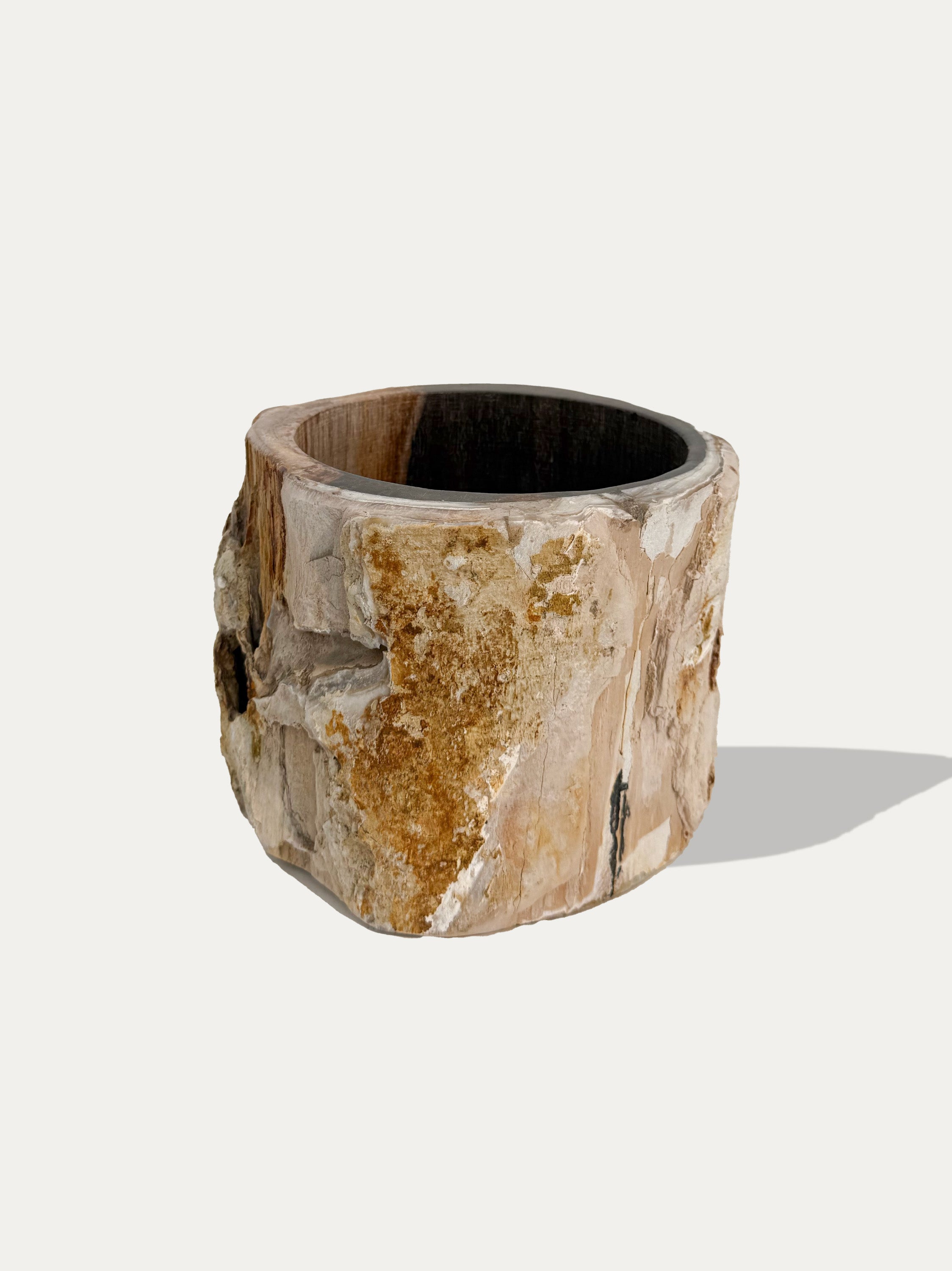 petrified-wood-vase-kirschon-lake-como