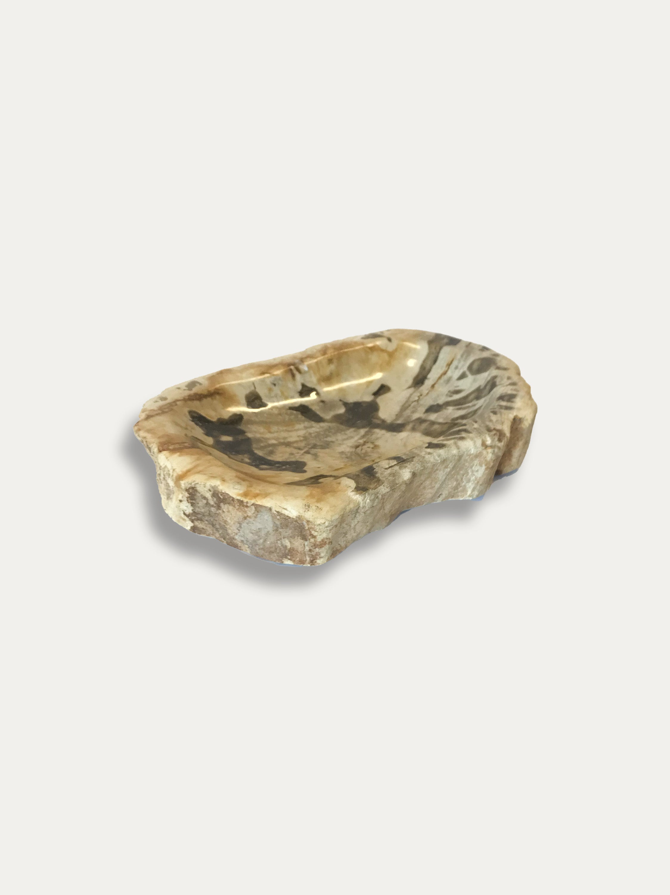 Petrified Wood Bowl - Enjoy Italy's largest collection of Petrified wood accessories!