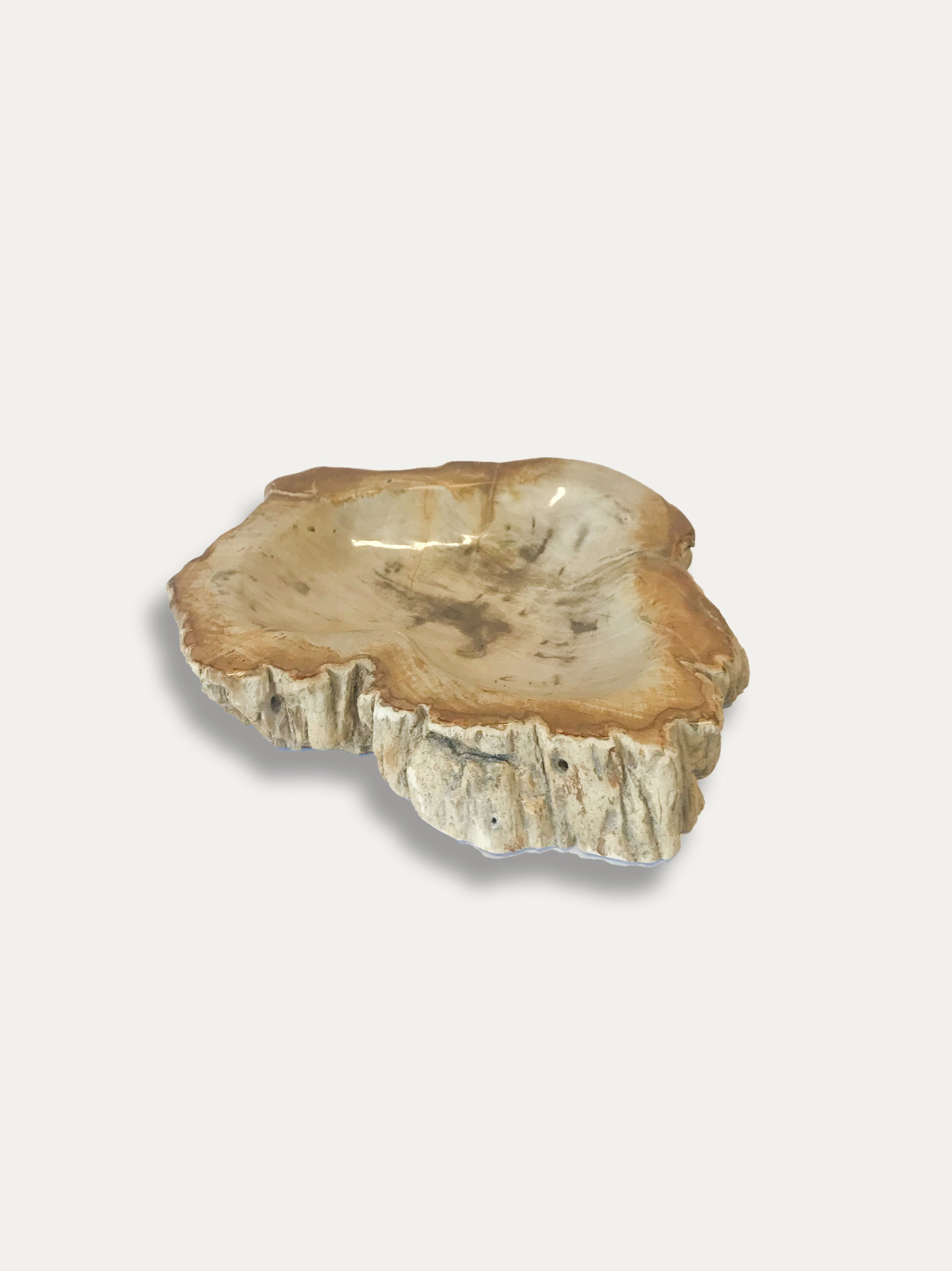 Petrified Wood Bowl - Enjoy Italy's largest collection of Petrified wood accessories!