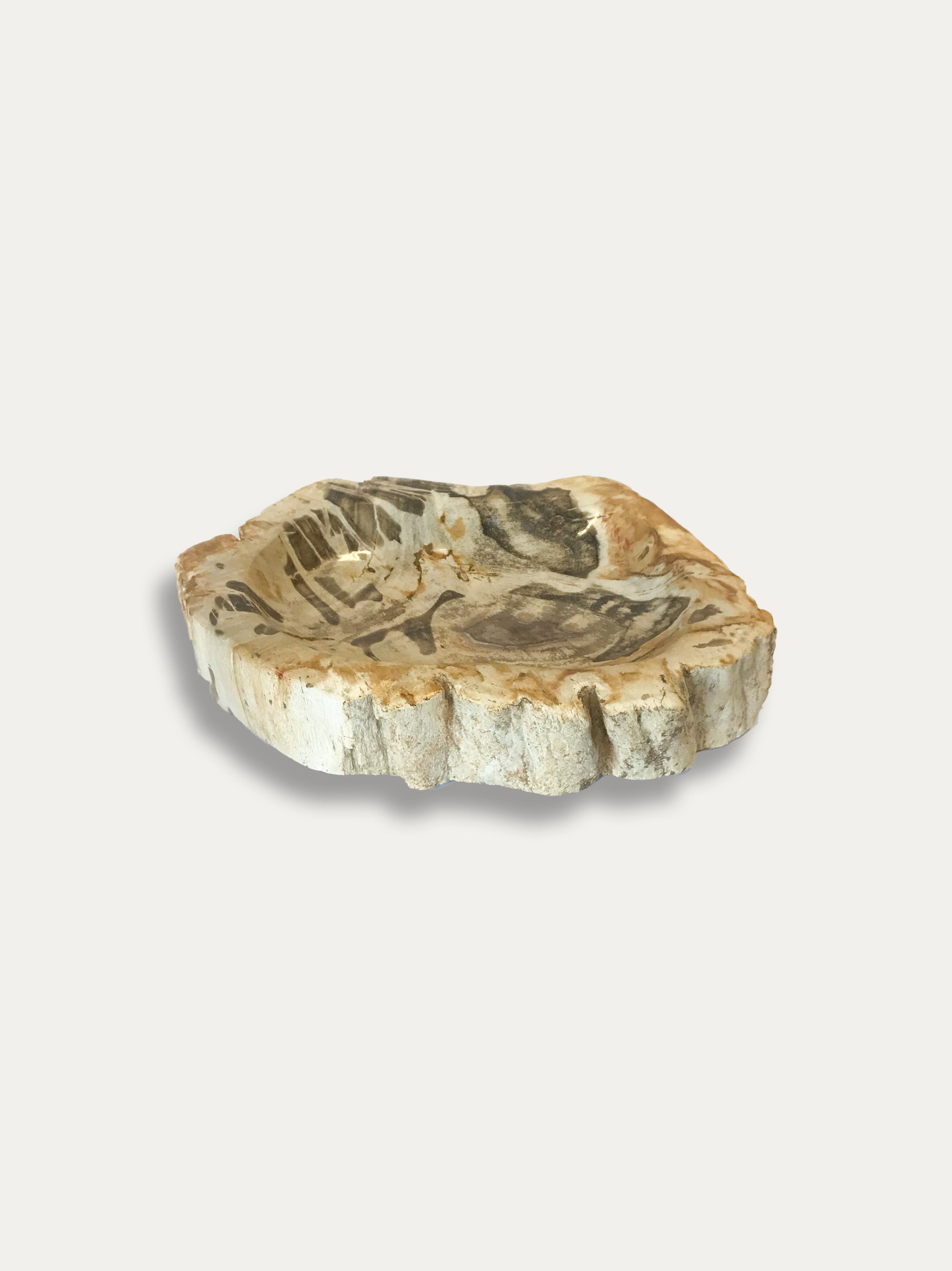 Petrified Wood Bowl - Enjoy Italy's largest collection of Petrified wood accessories!