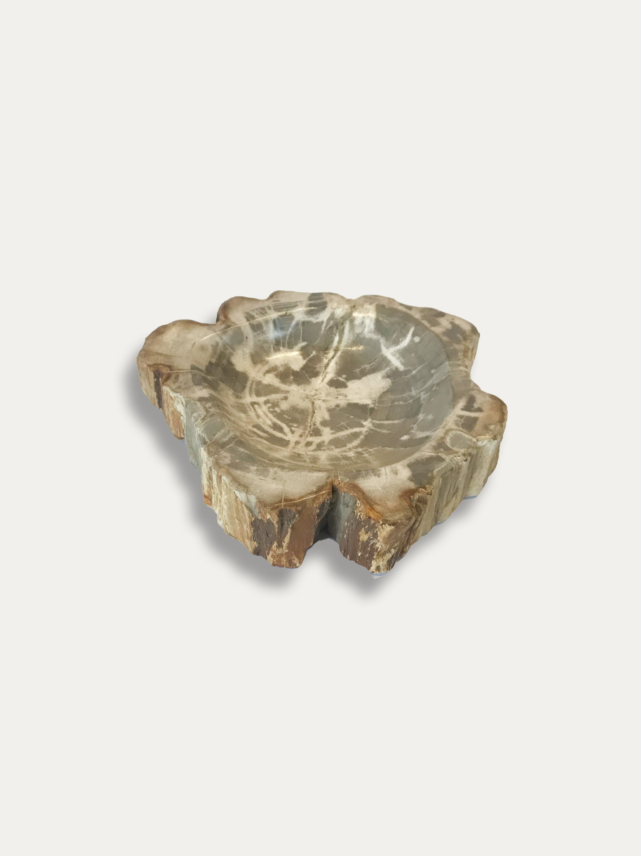 Petrified Wood Bowl - Enjoy Italy's largest collection of Petrified wood accessories!