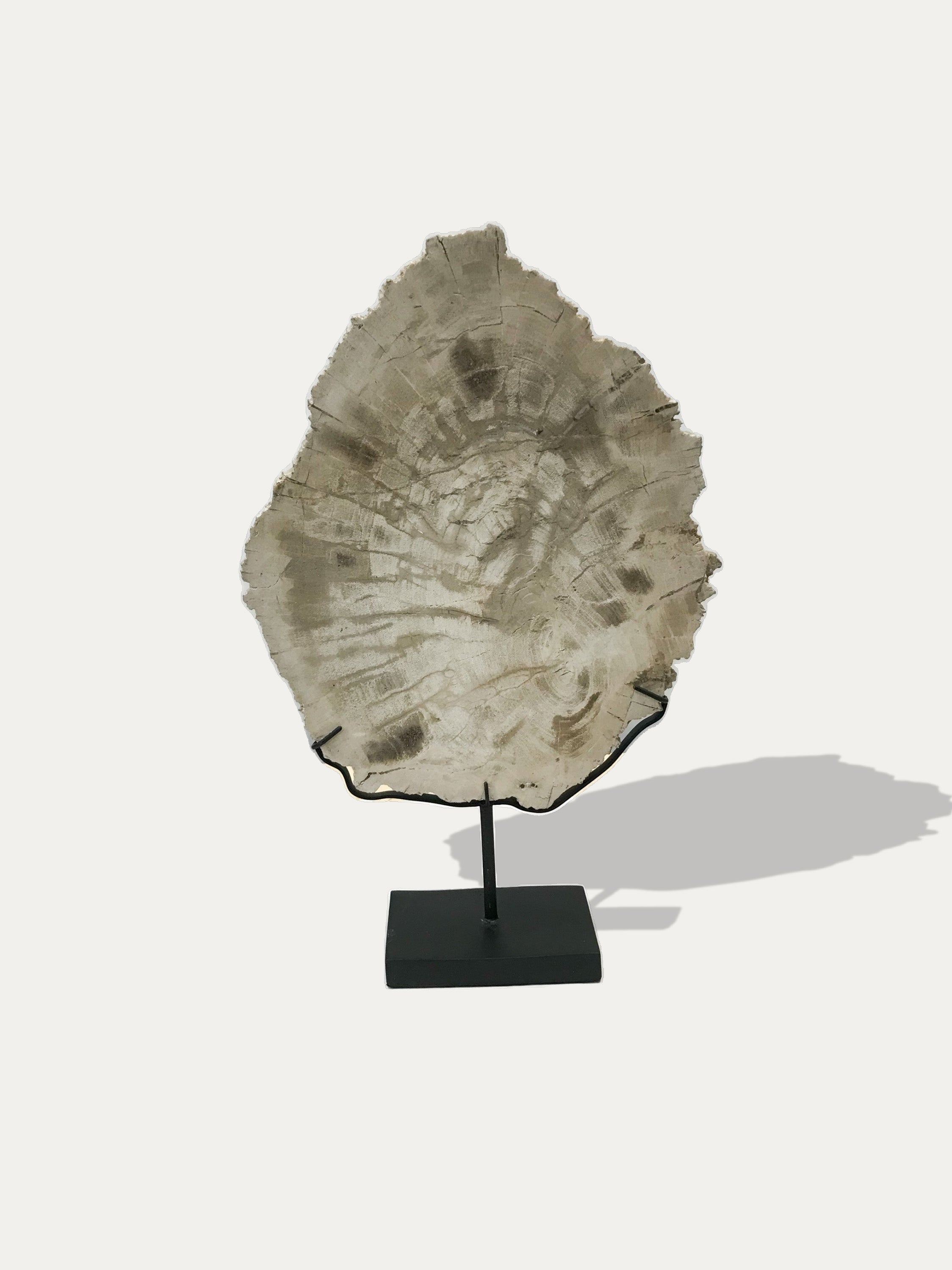 Petrified Wood Sculpture and Tray - Asian art from Kirschon