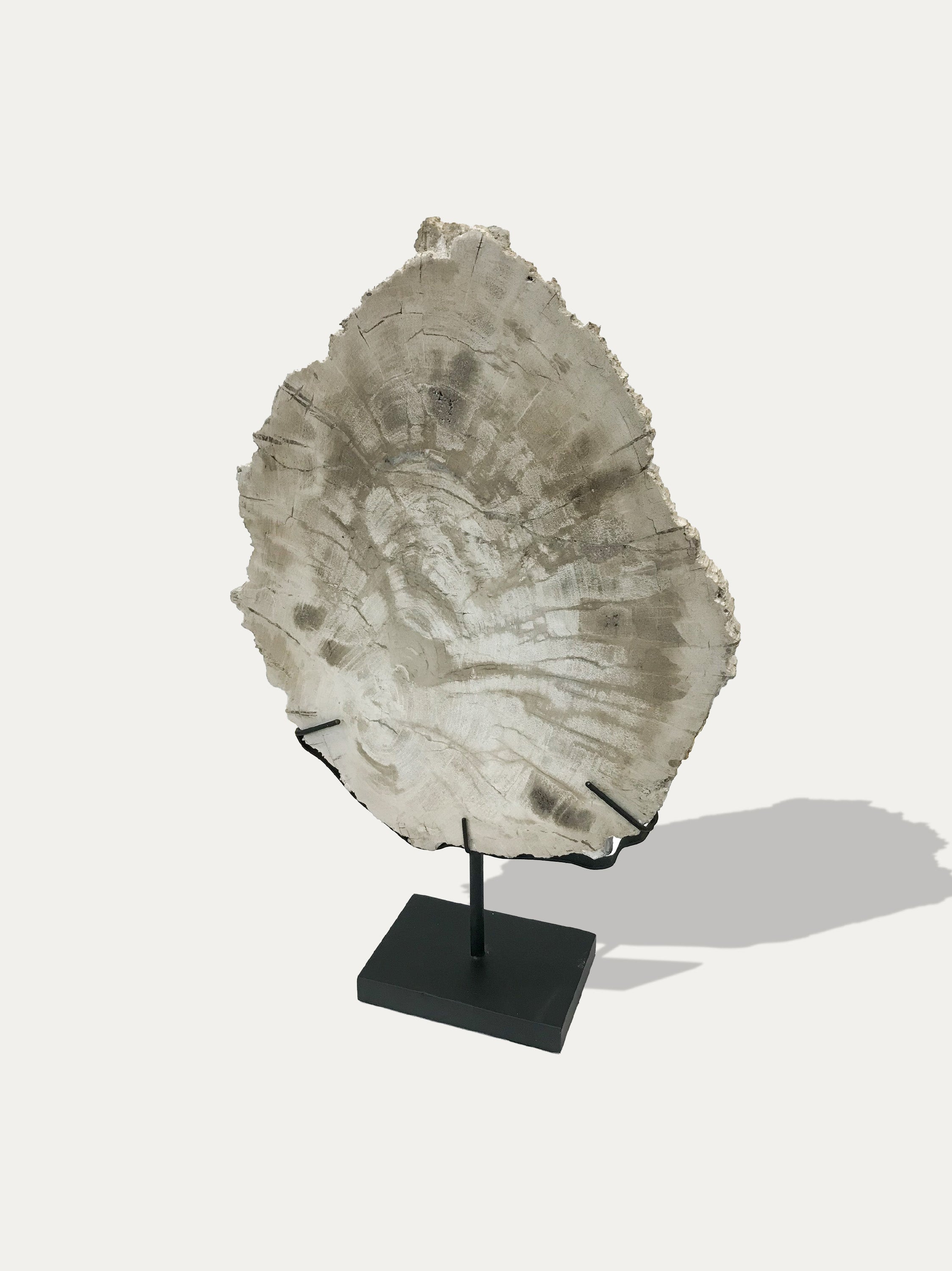 Petrified Wood Sculpture and Tray - Asian art from Kirschon