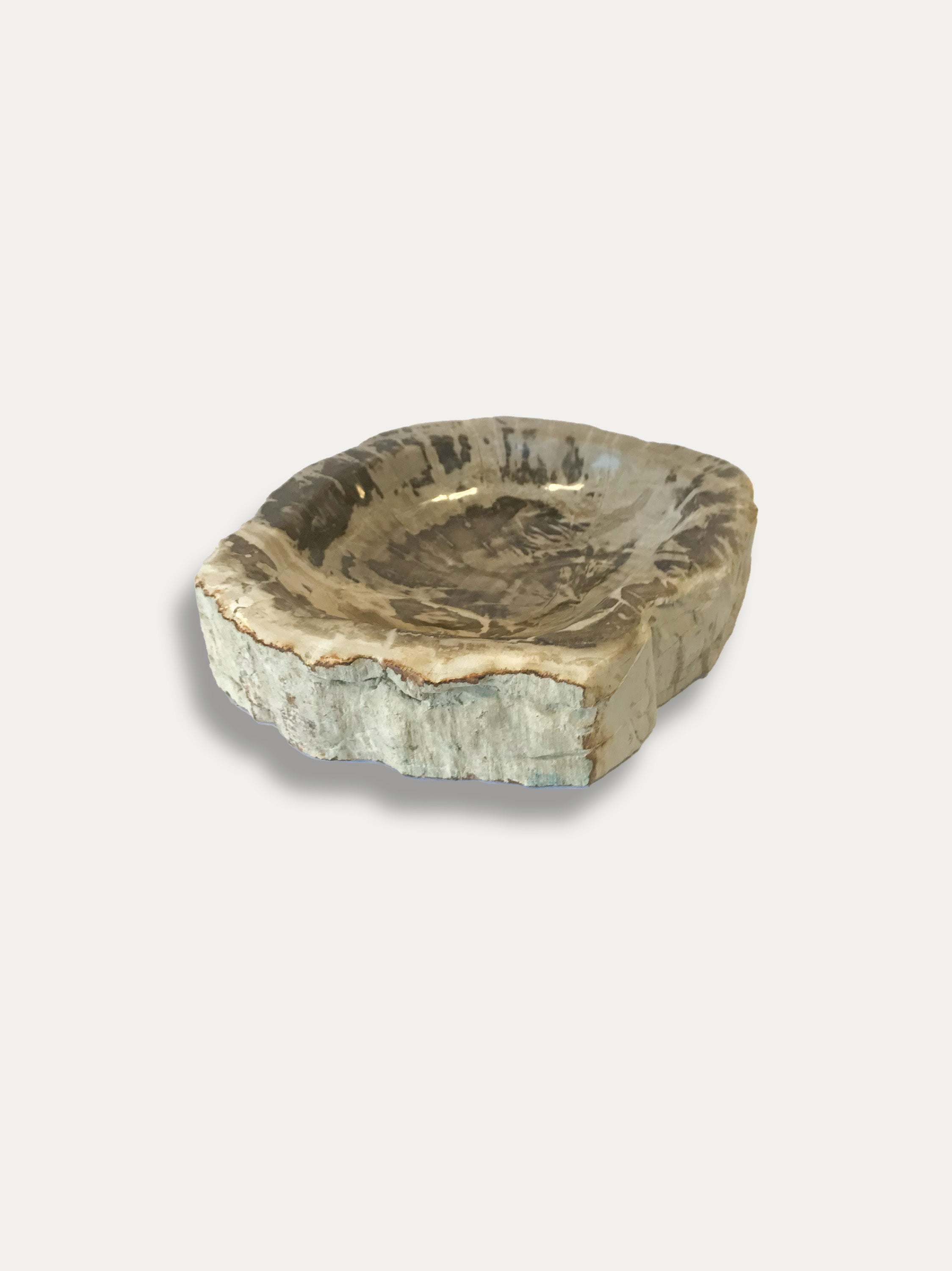 Petrified Wood Bowl - Enjoy Italy's largest collection of Petrified wood accessories!