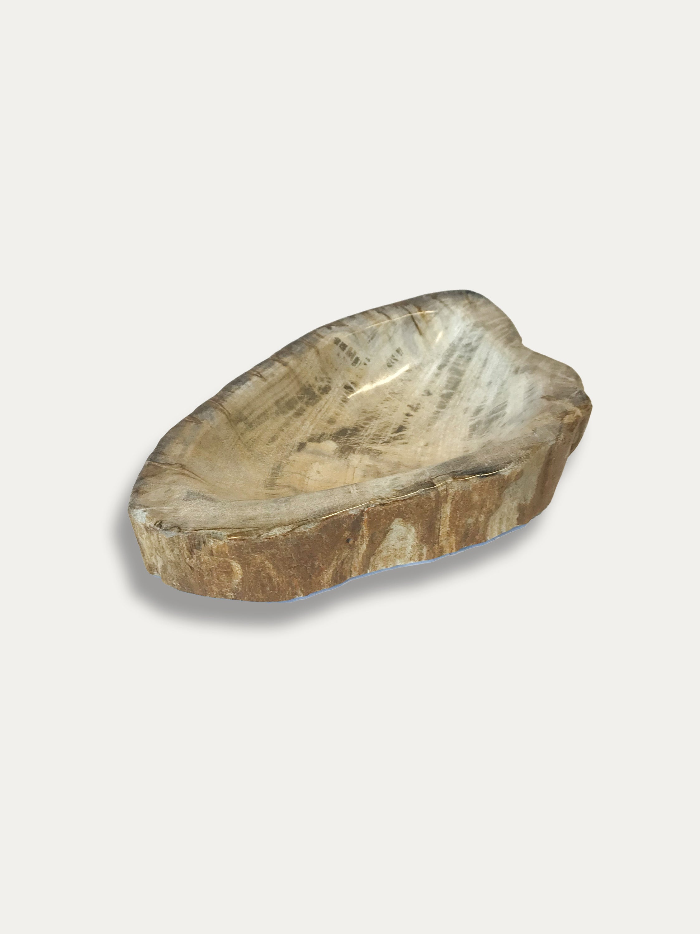 Petrified Wood Bowl - Enjoy Italy's largest collection of Petrified wood accessories!