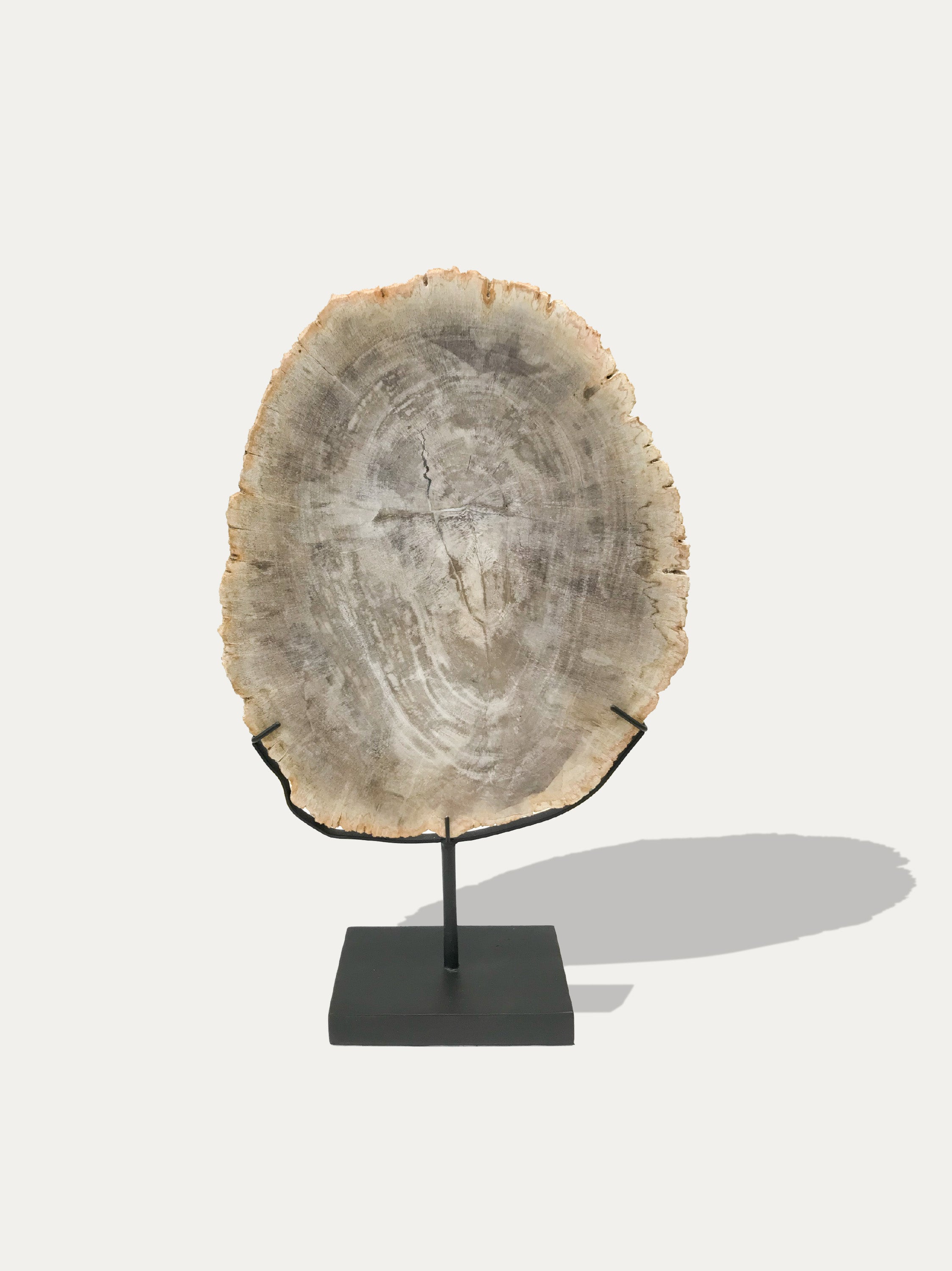 Petrified Wood Sculpture and Tray - Asian art from Kirschon