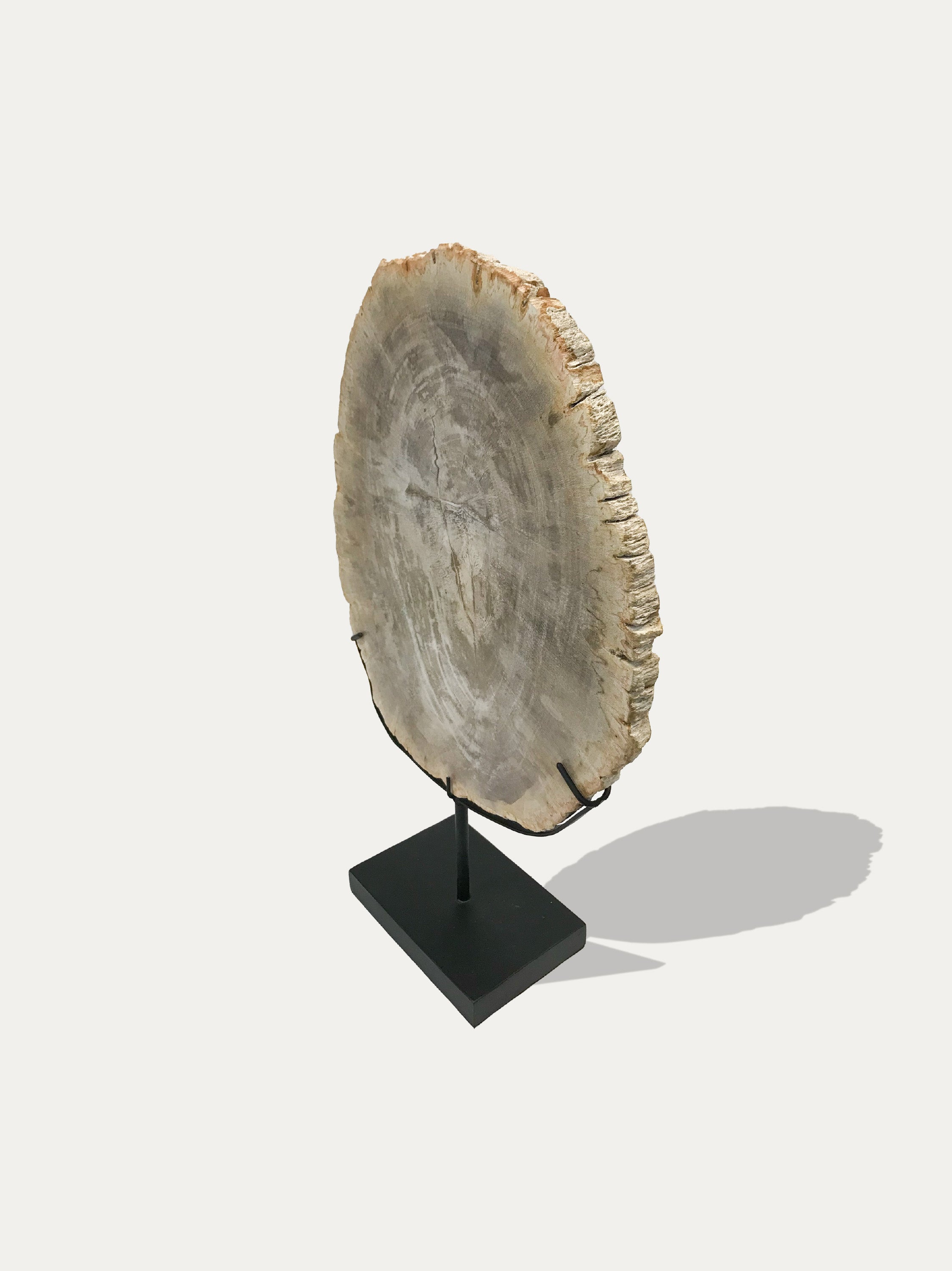Petrified Wood Sculpture and Tray - Asian art from Kirschon