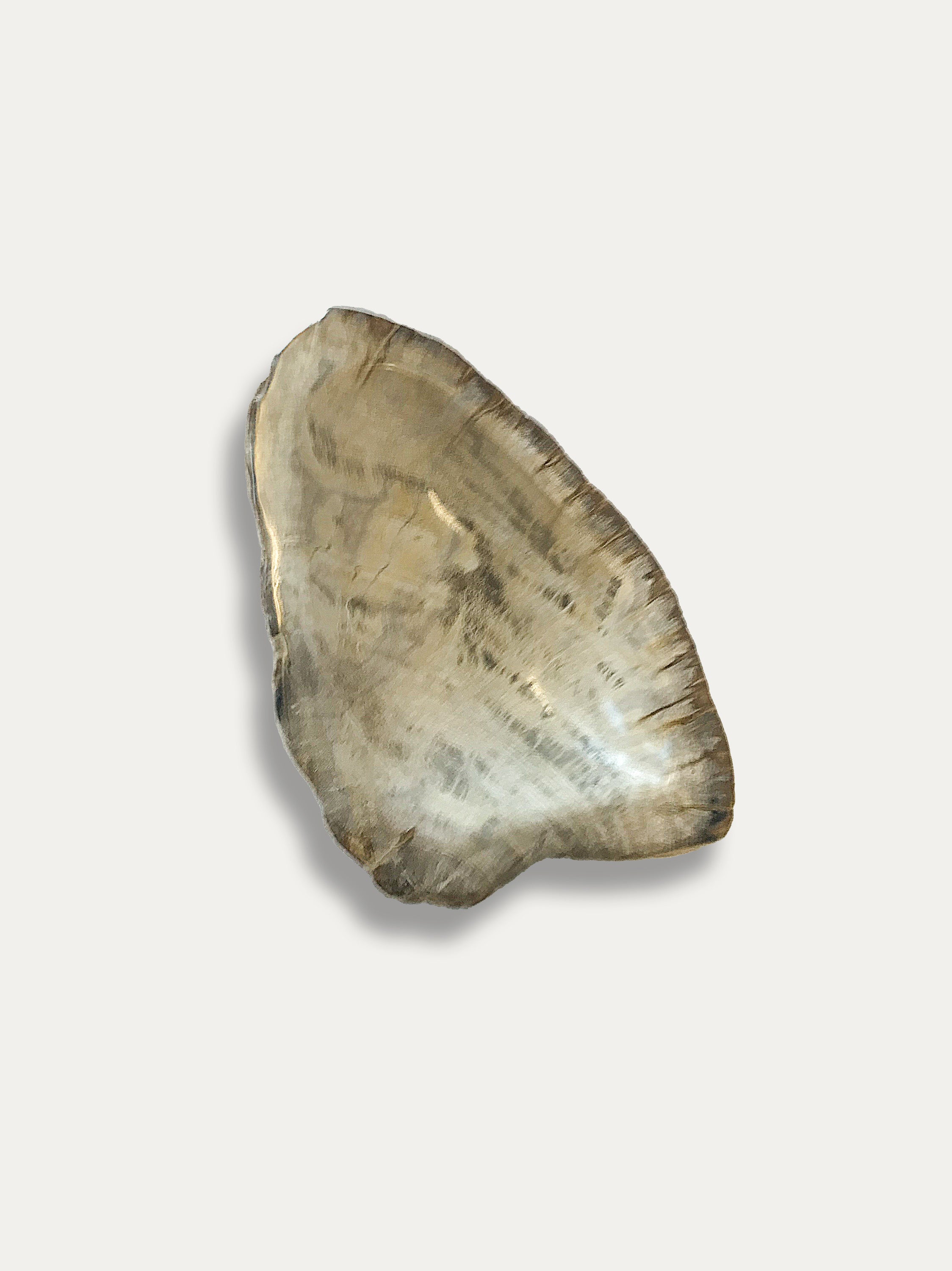 Petrified Wood Bowl - Enjoy Italy's largest collection of Petrified wood accessories!