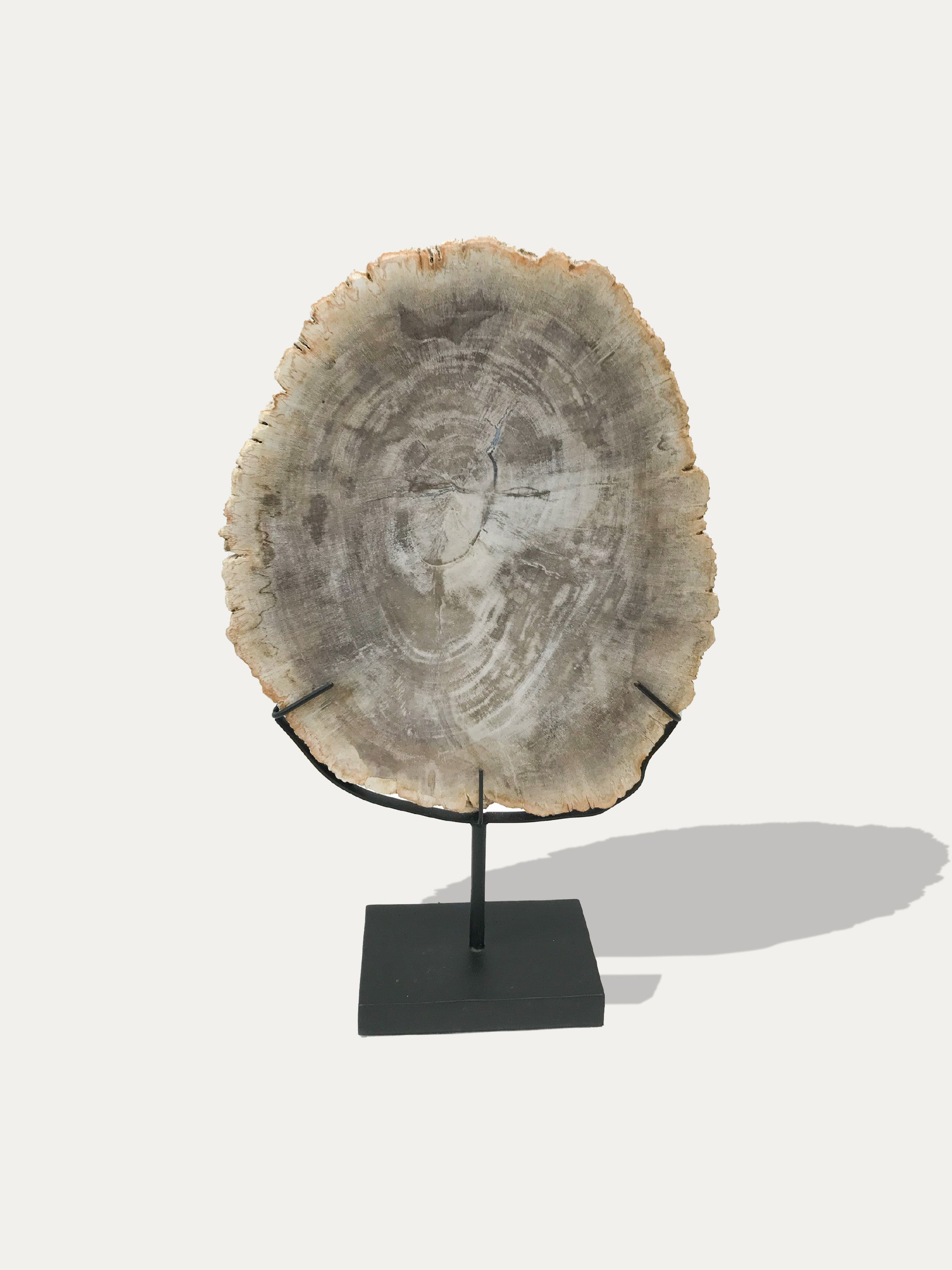 Petrified Wood Sculpture and Tray - Asian art from Kirschon