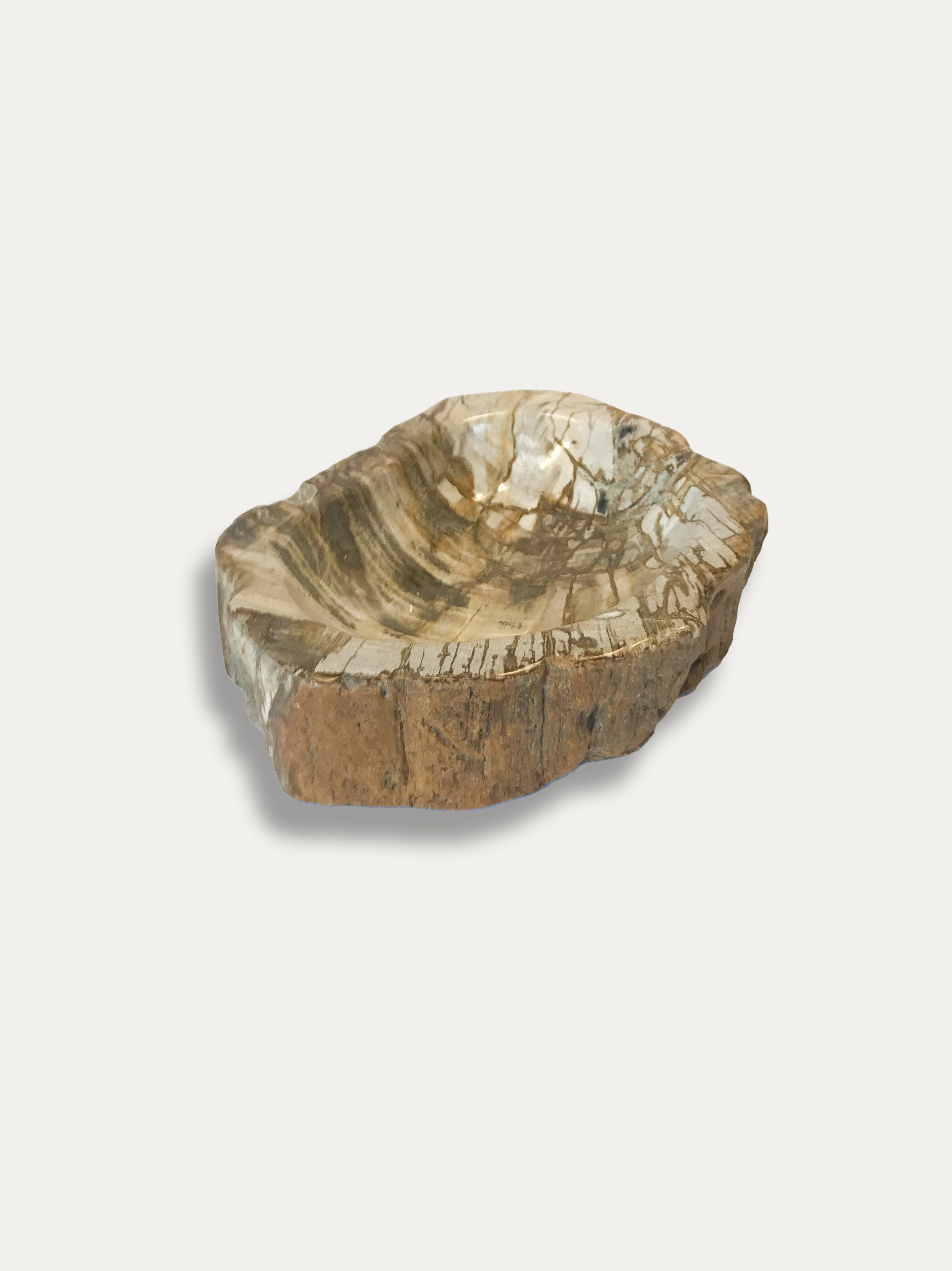 Petrified Wood Bowl - Enjoy Italy's largest collection of Petrified wood accessories!