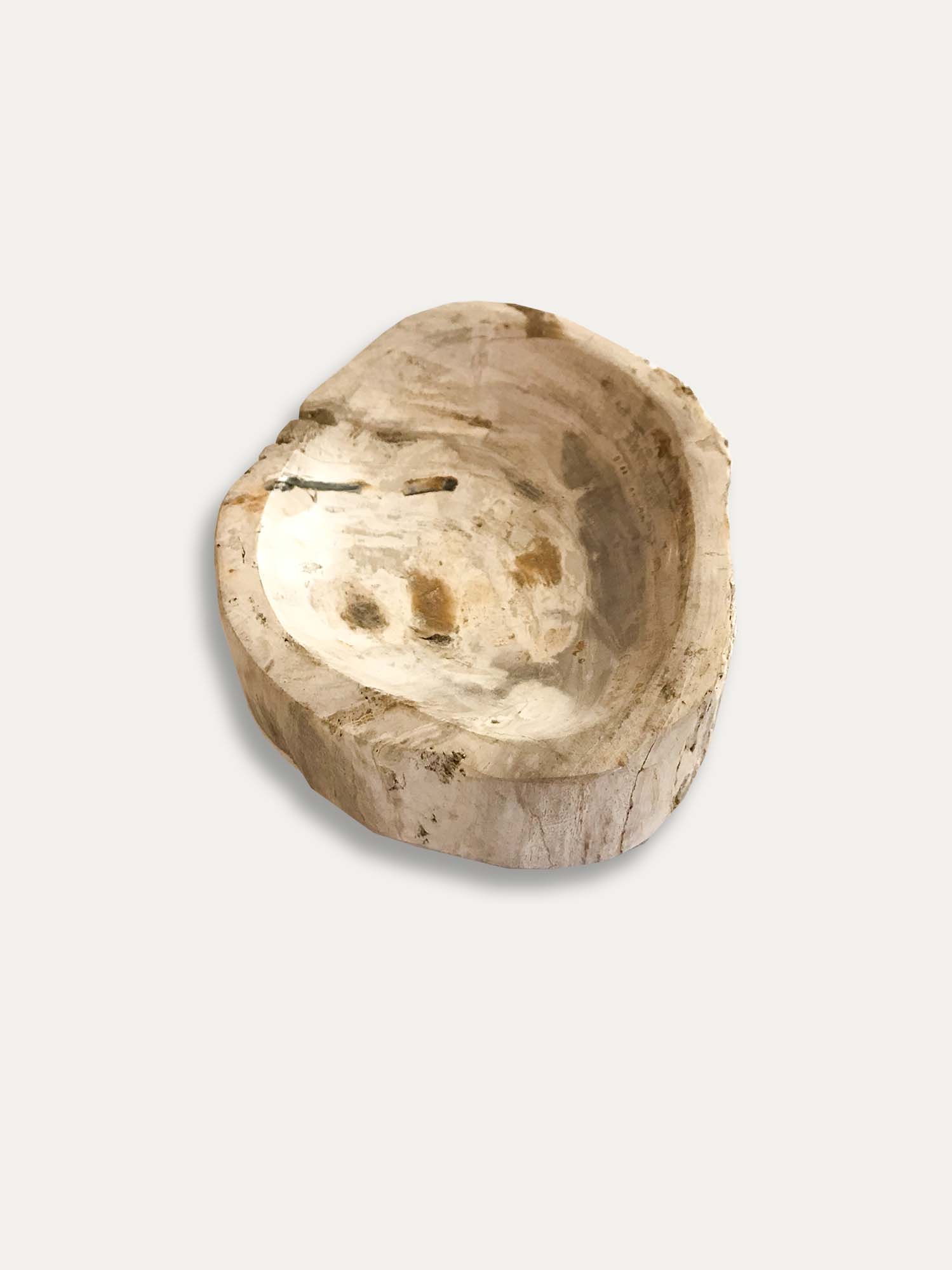 Schale aus versteinertem Holz