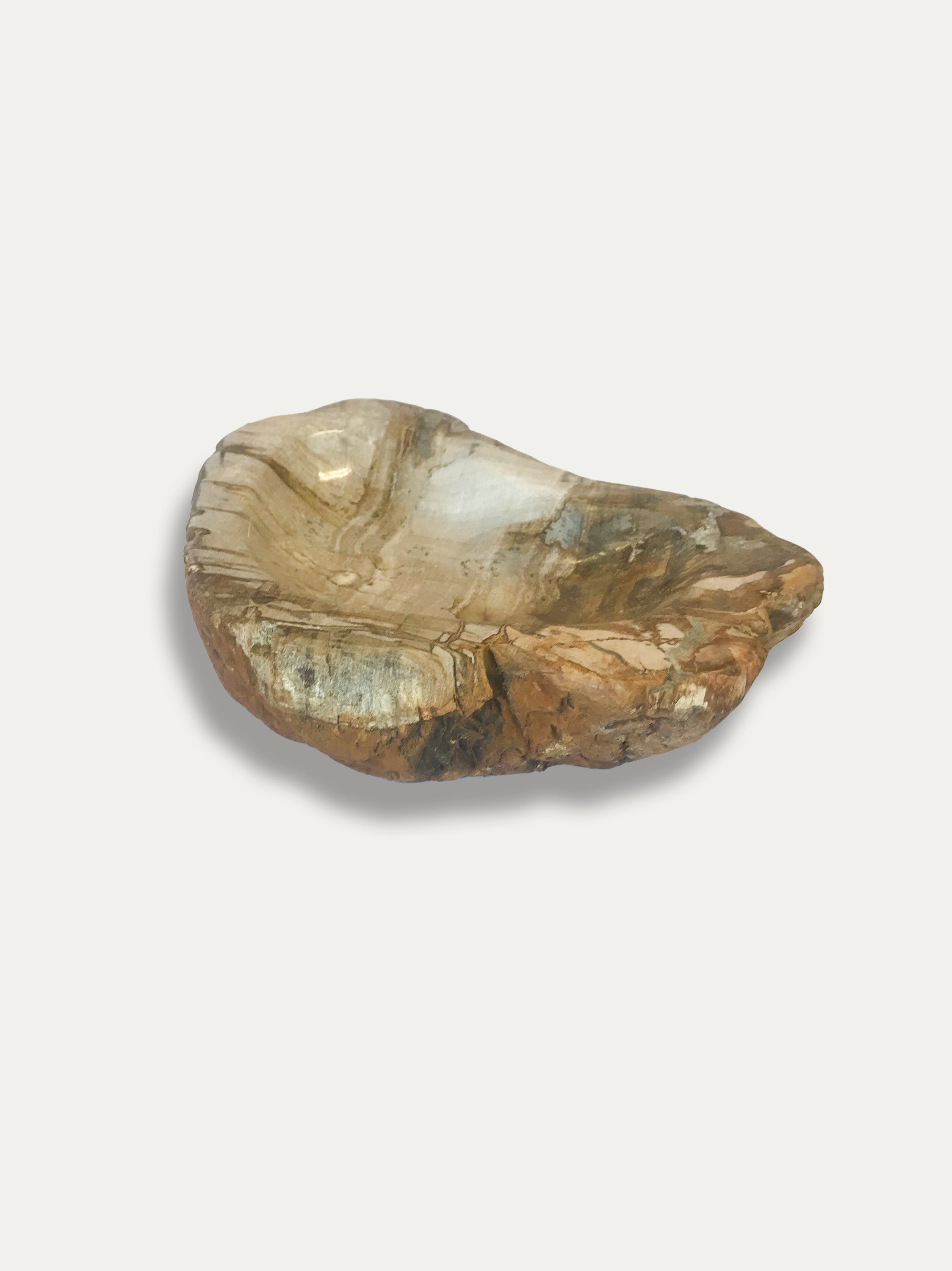 Petrified Wood Bowl - Enjoy Italy's largest collection of Petrified wood accessories!