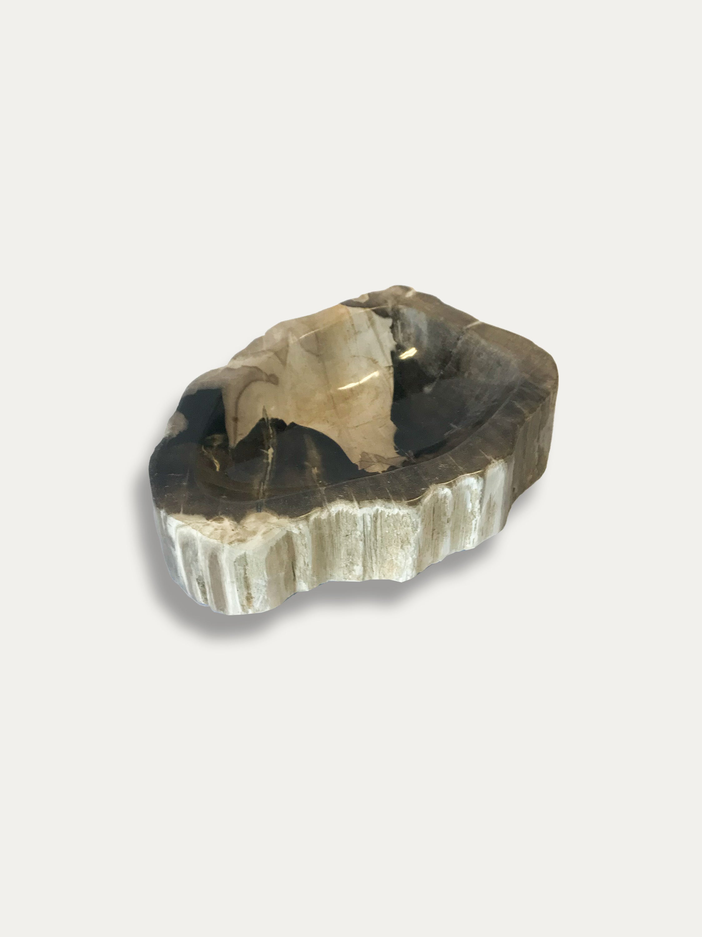 Petrified Wood Bowl - Enjoy Italy's largest collection of Petrified wood accessories!