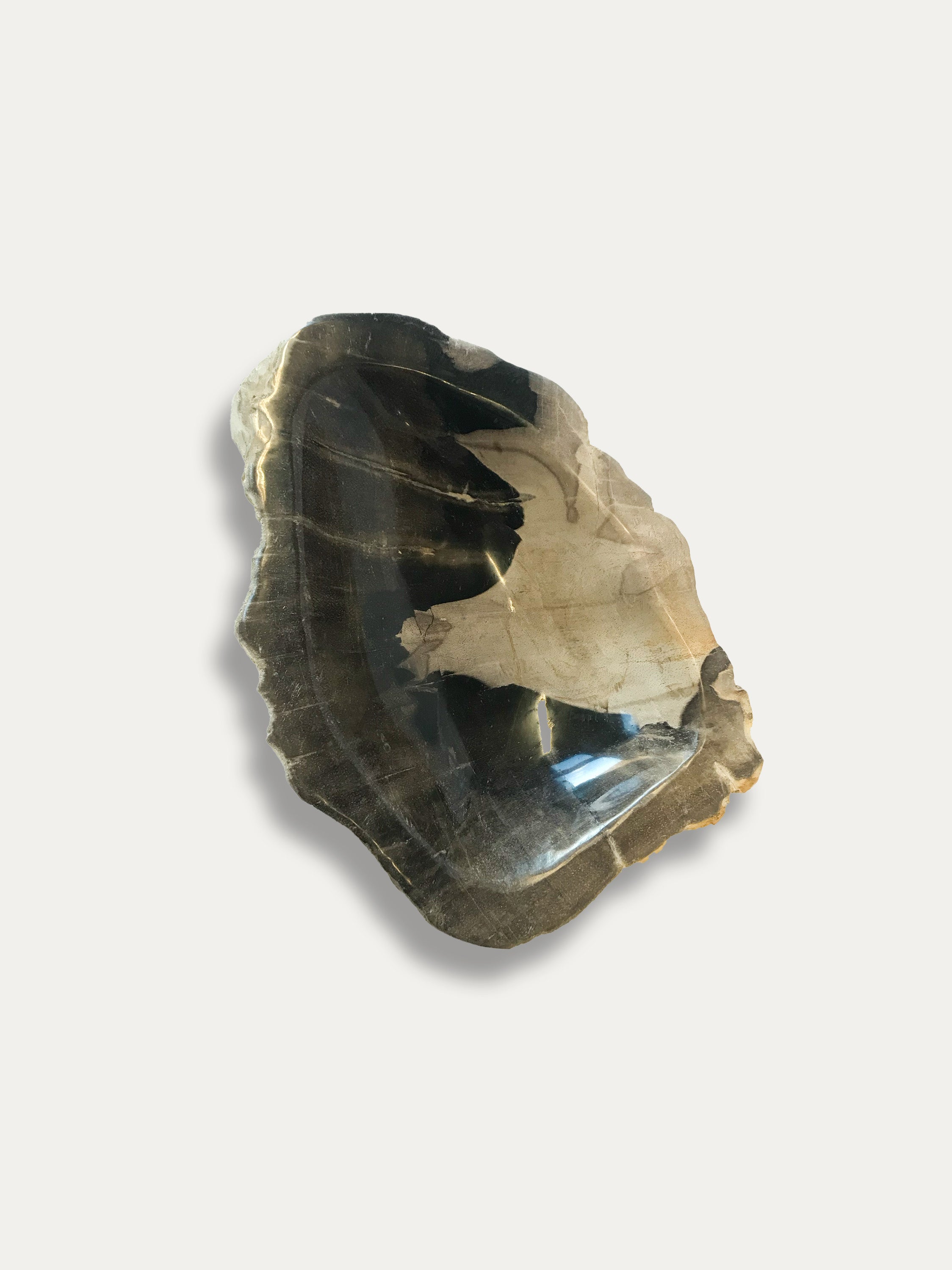 Petrified Wood Bowl - Enjoy Italy's largest collection of Petrified wood accessories!
