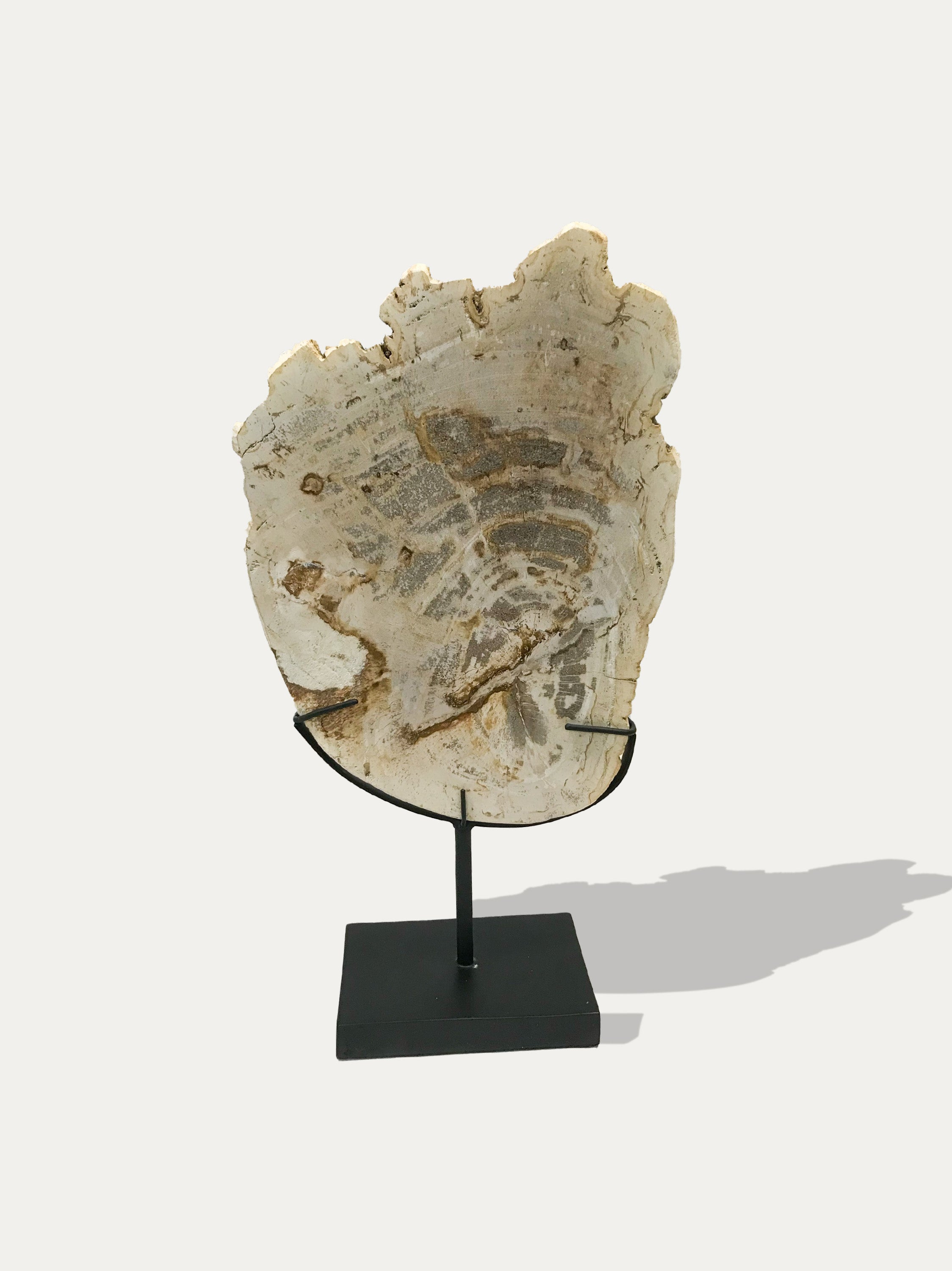 Petrified Wood Sculpture and Tray - Asian art from Kirschon