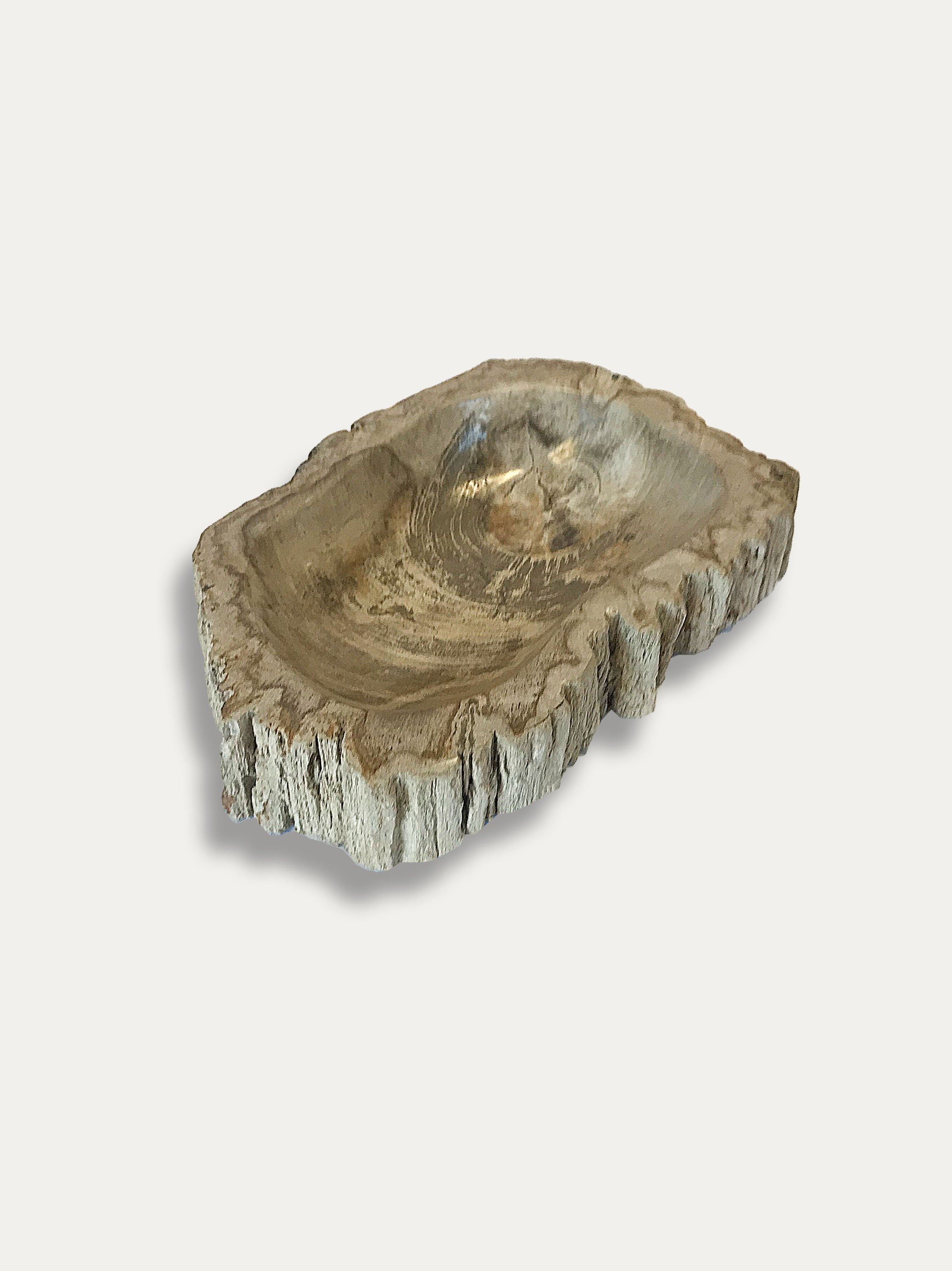 Petrified Wood Bowl - Enjoy Italy's largest collection of Petrified wood accessories!
